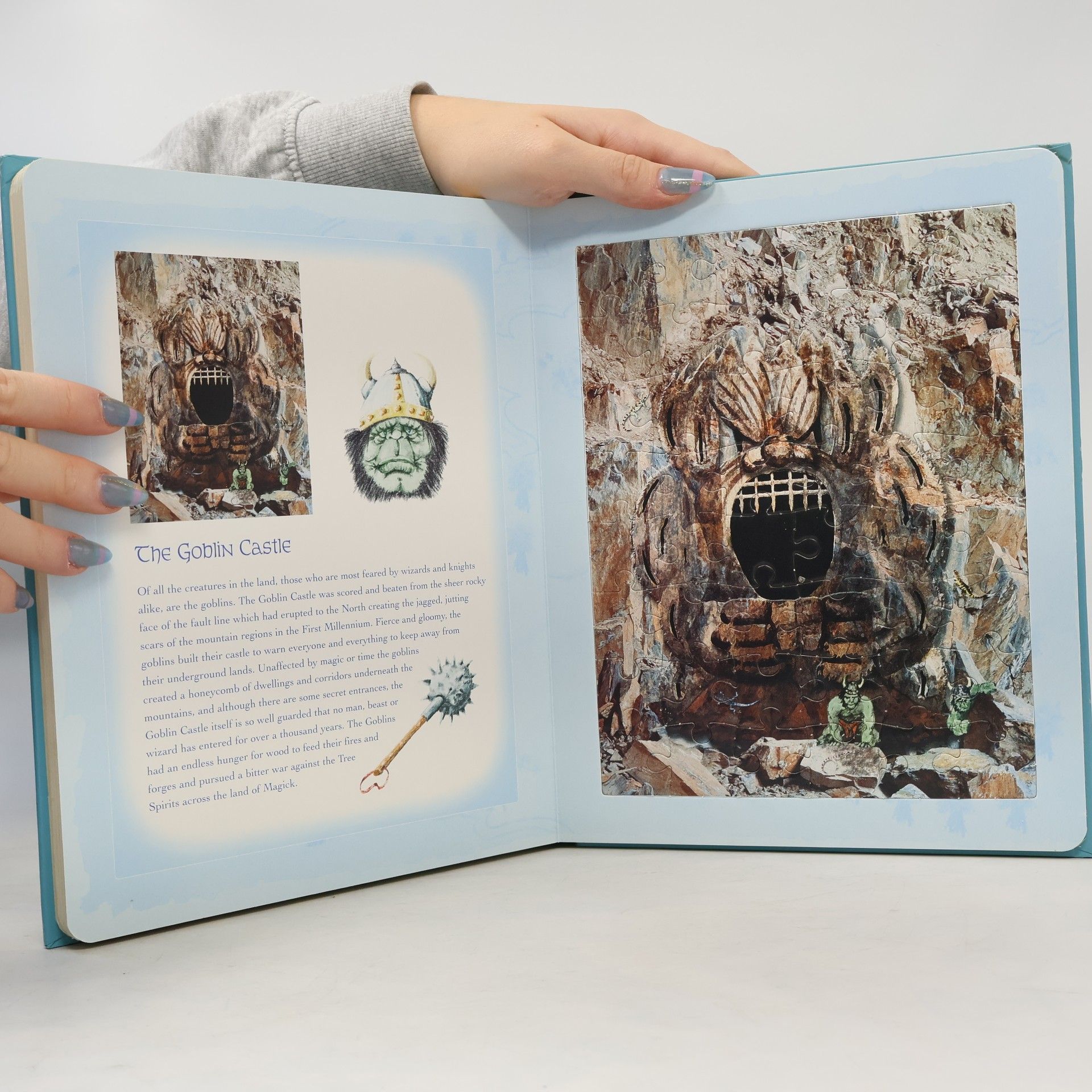 Jake Jackson Jigsaw Book: Castles