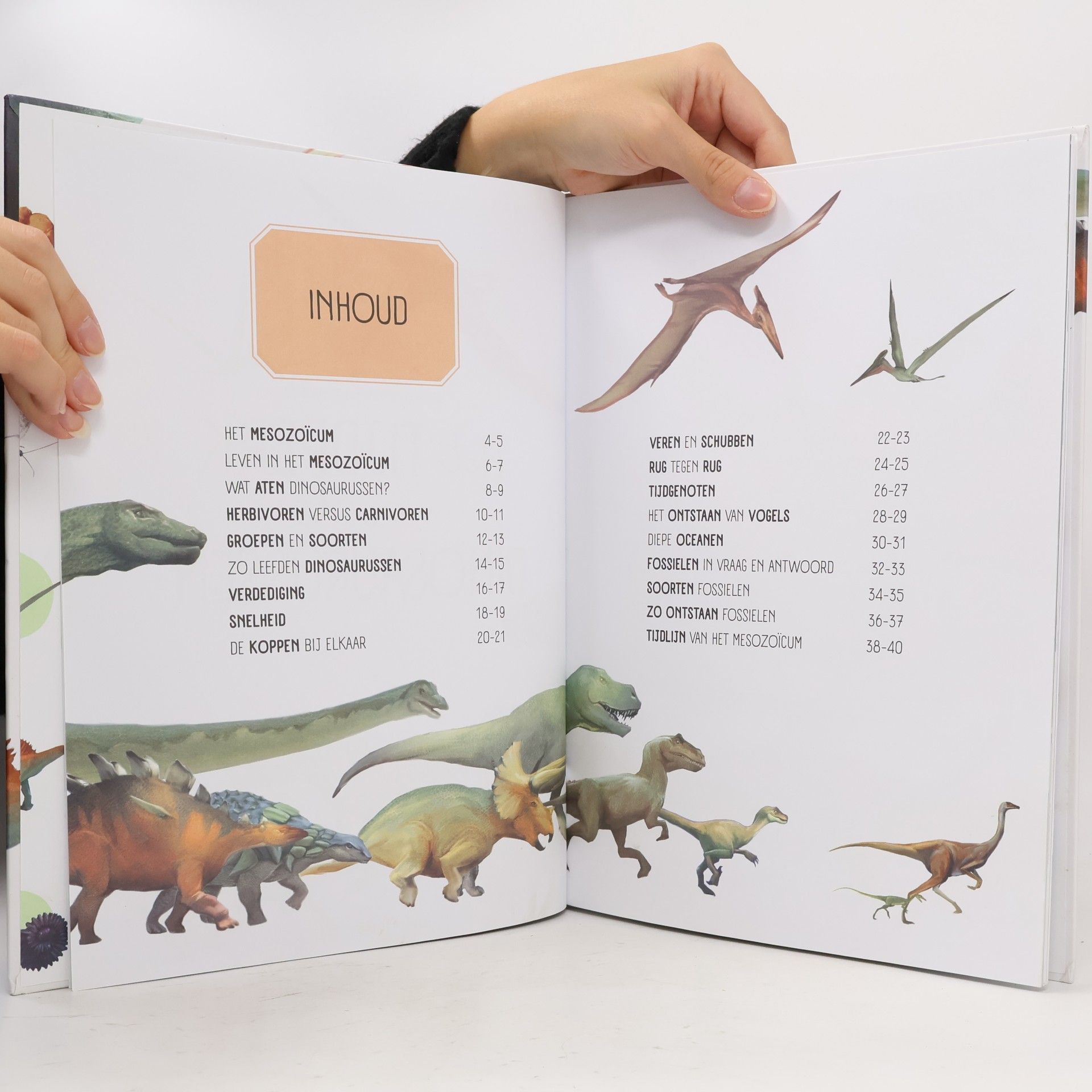 Various authors Het Tijdperk Van De Dinosaurussen