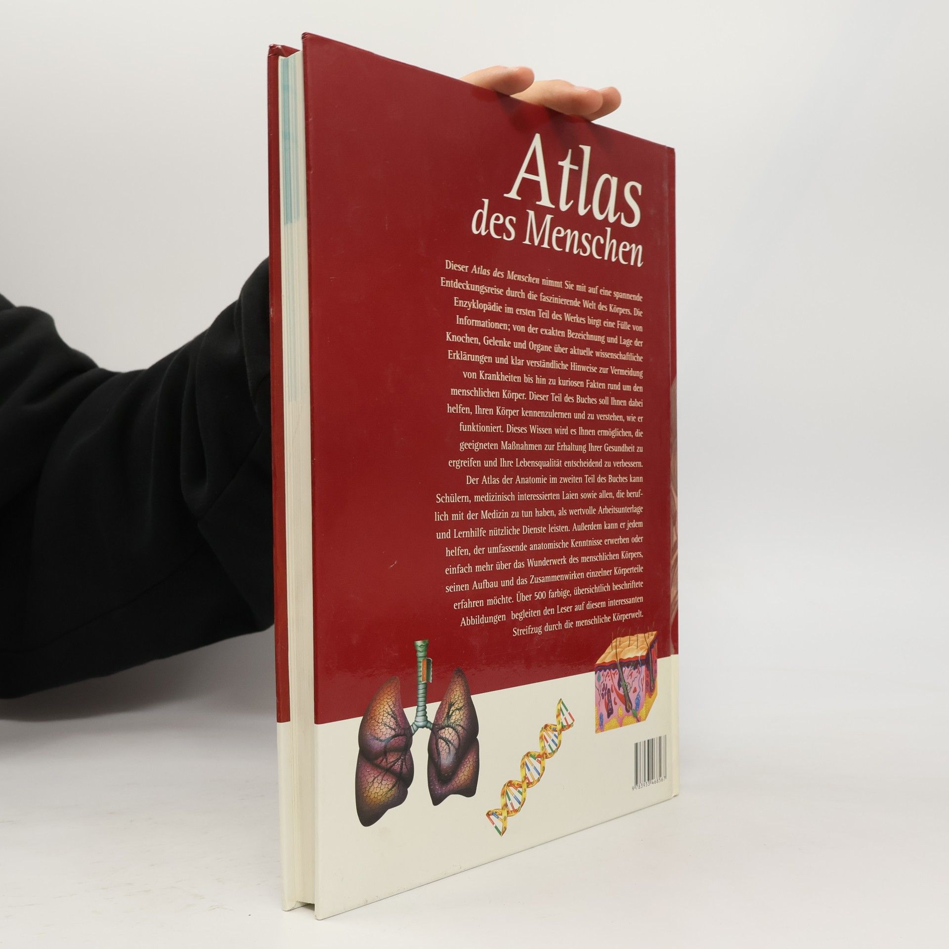 Michael Damm Atlas des Menschen