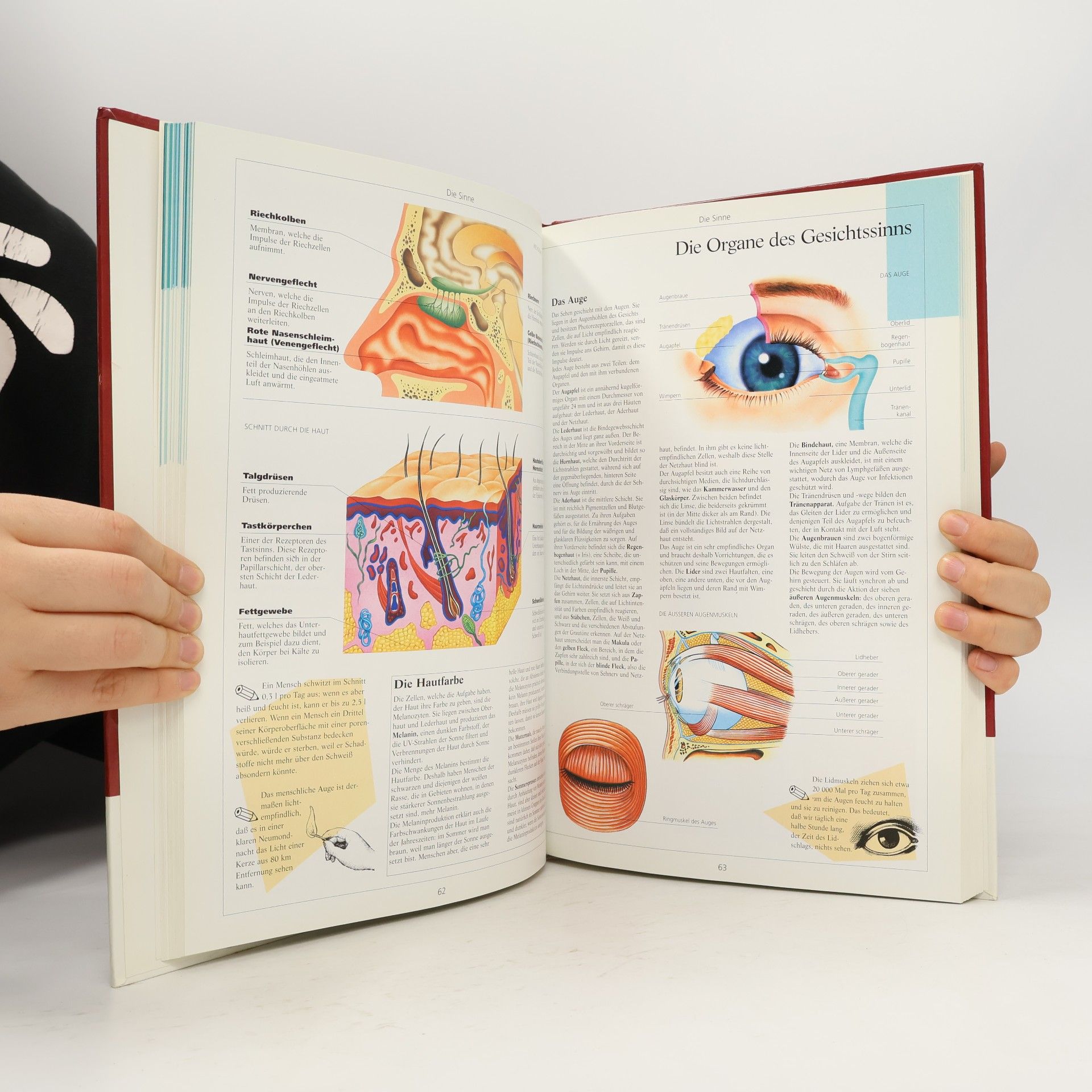Michael Damm Atlas des Menschen