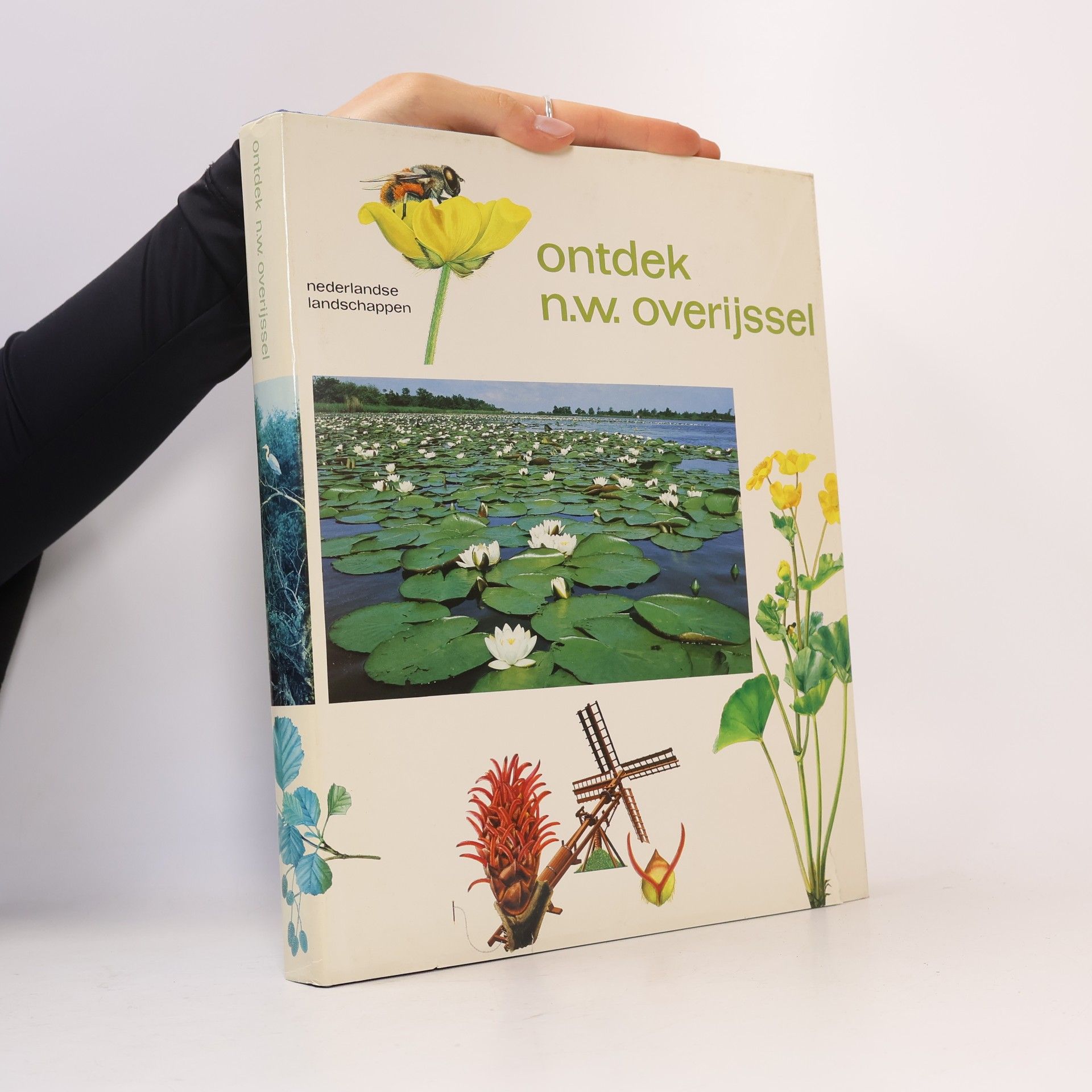 Ontdek n.w. overijssel nederlandse landschappen