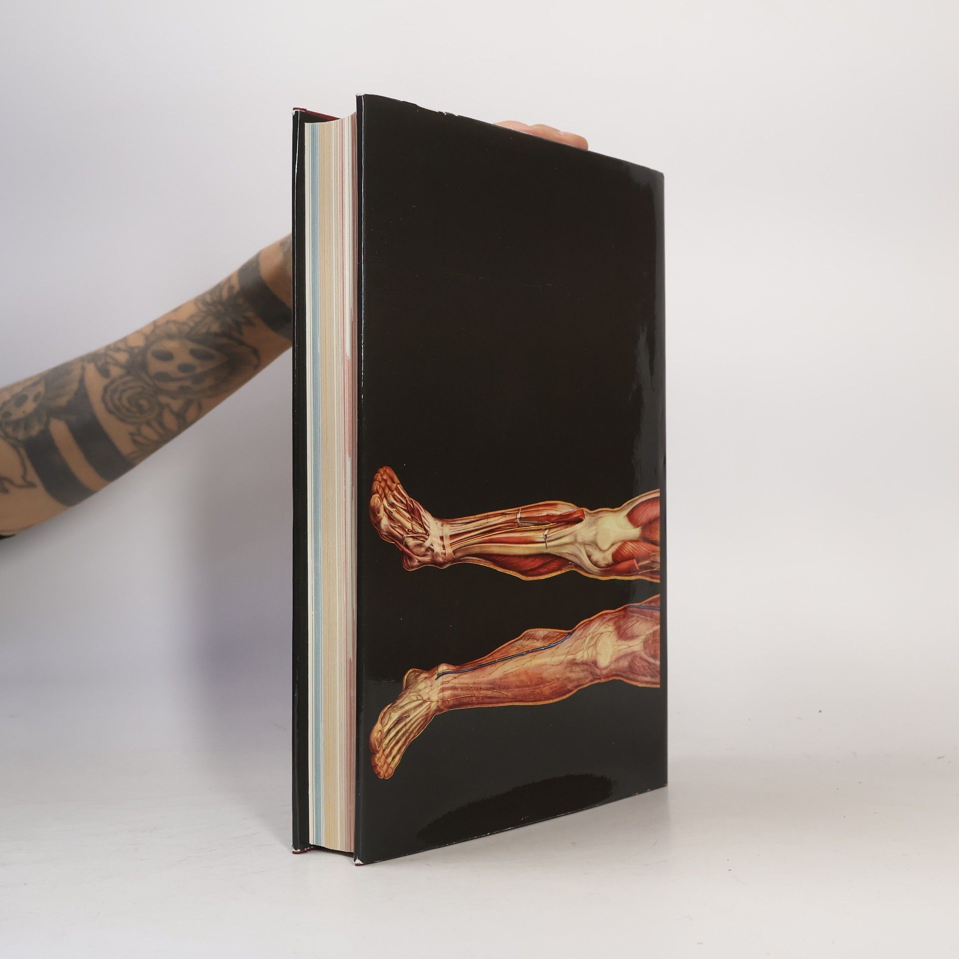 kolektiv Visuele Medische Encyclopedie I-II