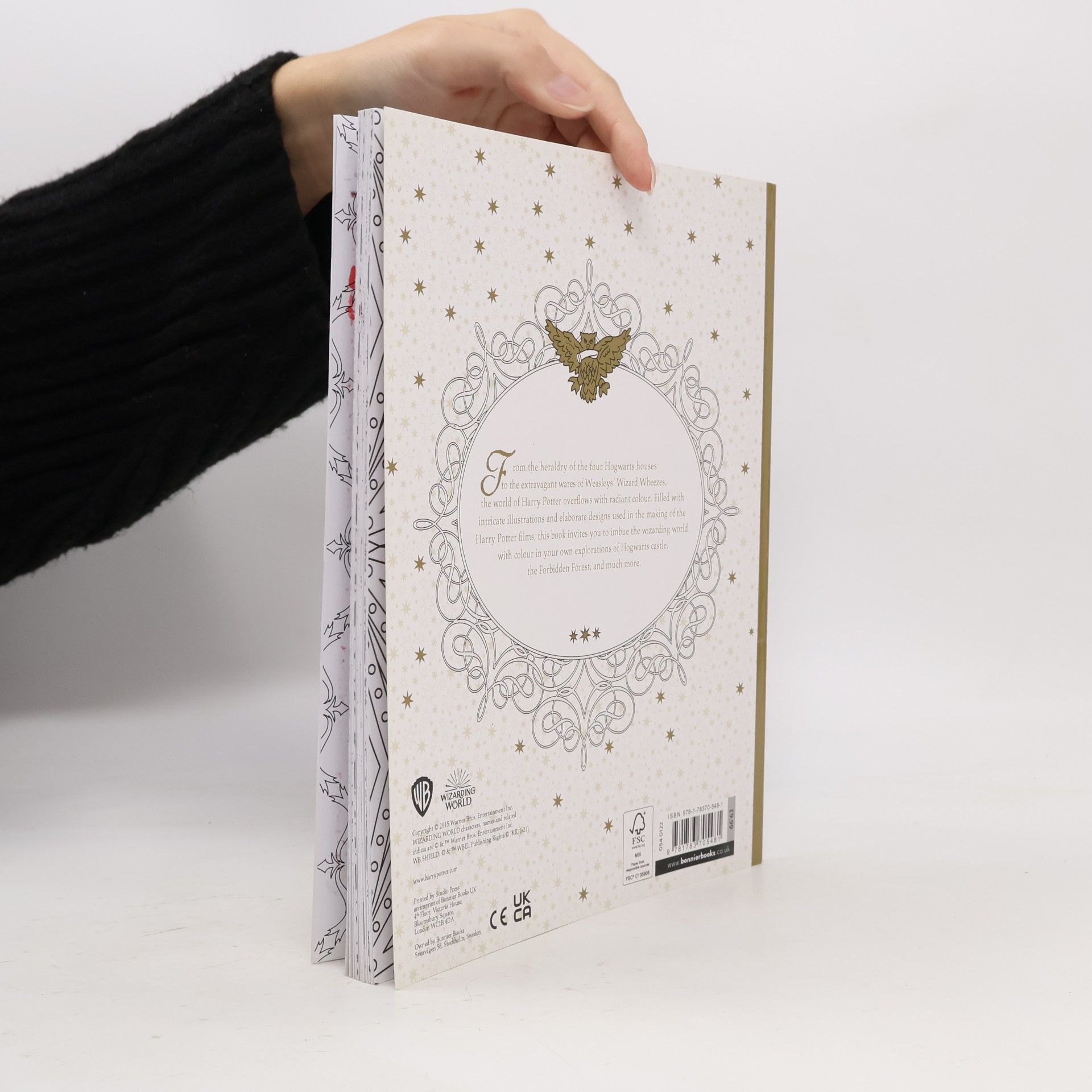 Kolektív autorov Harry Potter colouring book