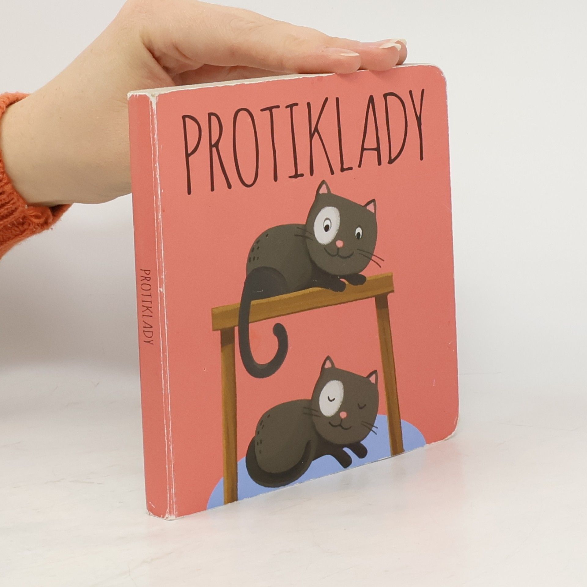 Anna Řebíčková Protiklady