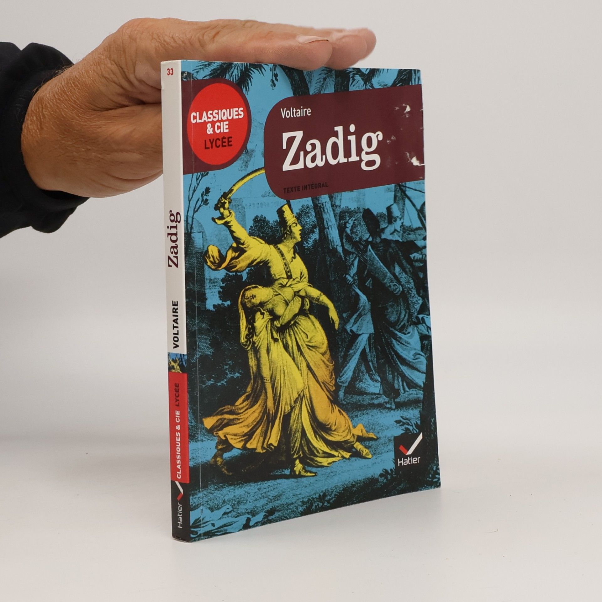 Voltaire Classiques & Cie Lycée - 33: Zadig - Texte intégral