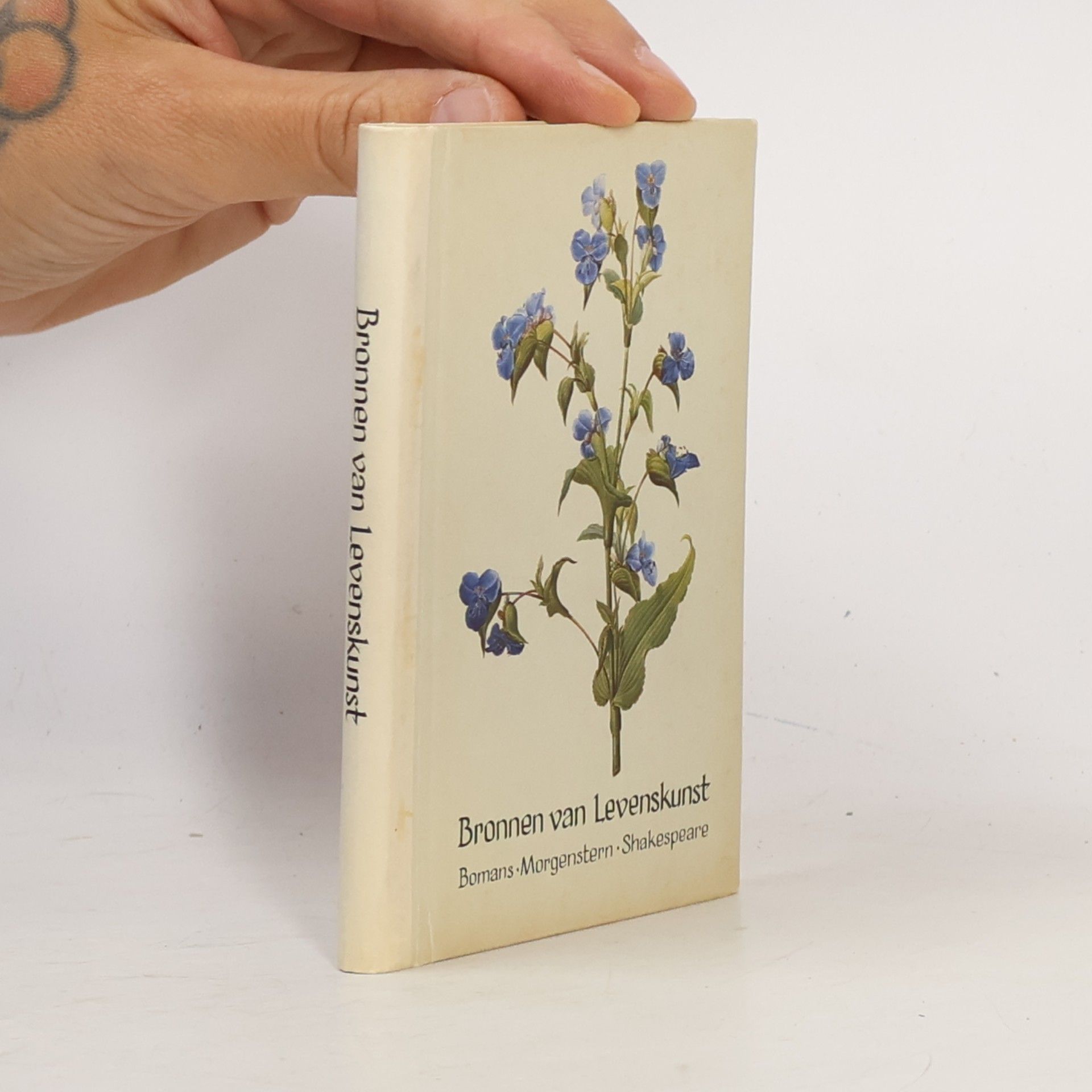 kolektiv Bronnen van Levenskunst