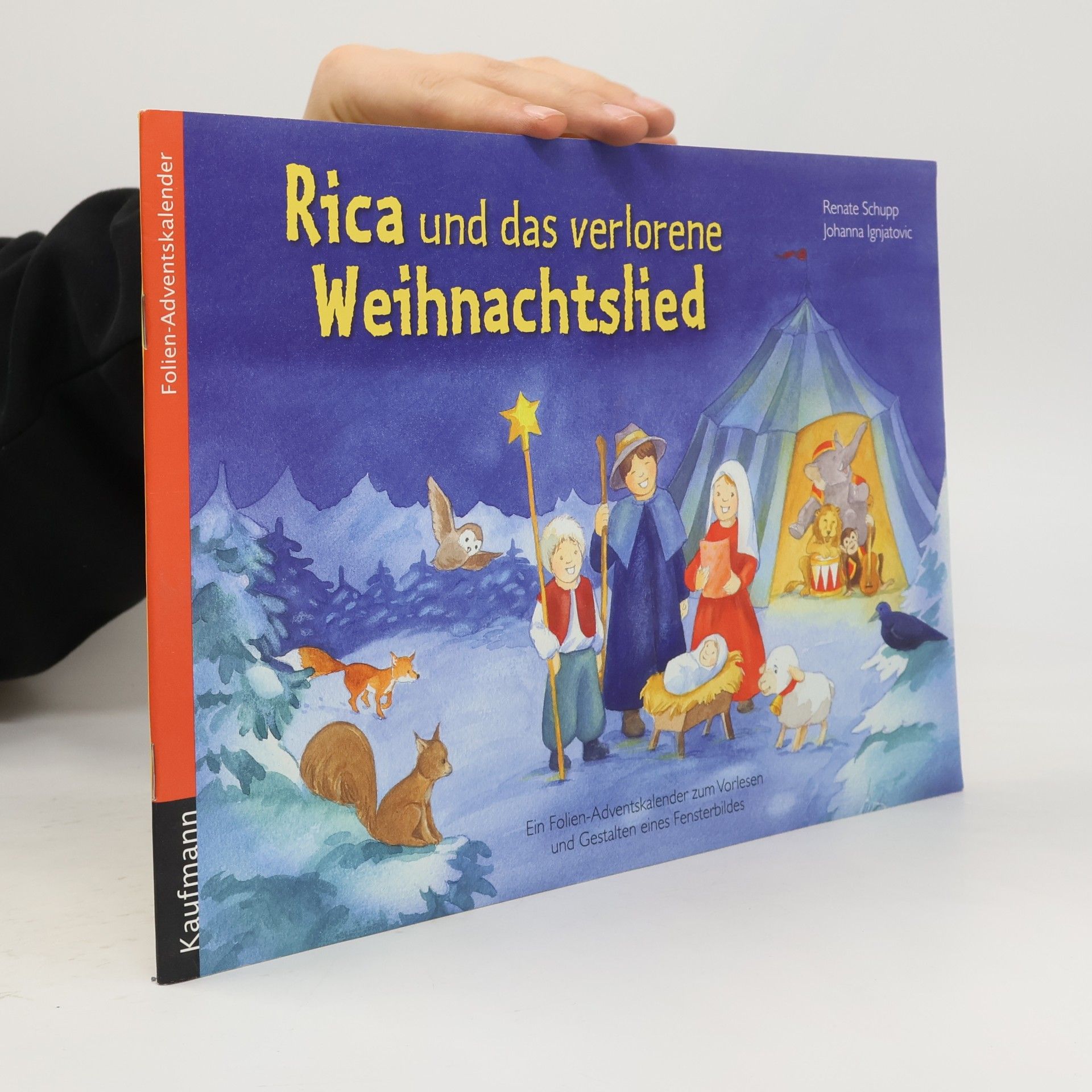 Rica und das verlorene Weihnachtslied: Folien-Adventskalender