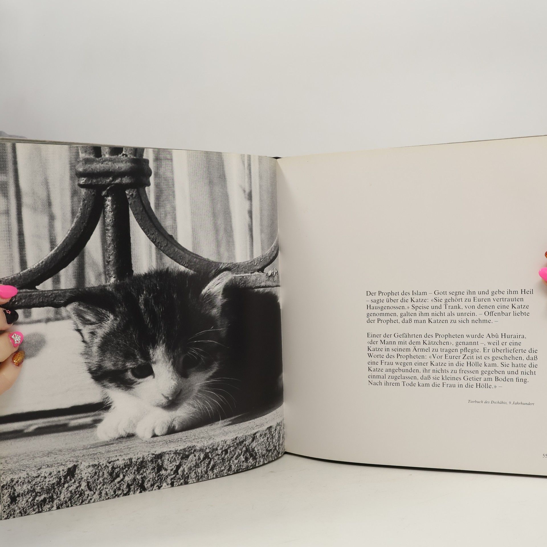 Andreas Strohschneider Katzen: Spiel und Geheimnis
