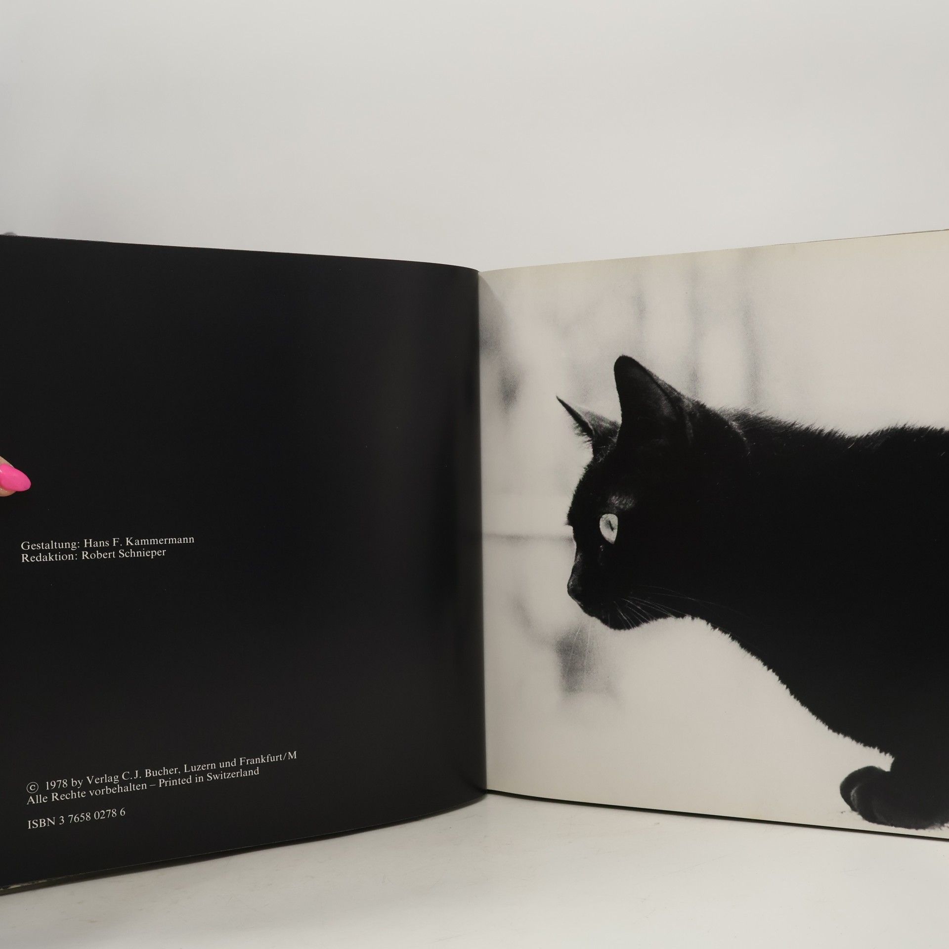 Andreas Strohschneider Katzen: Spiel und Geheimnis