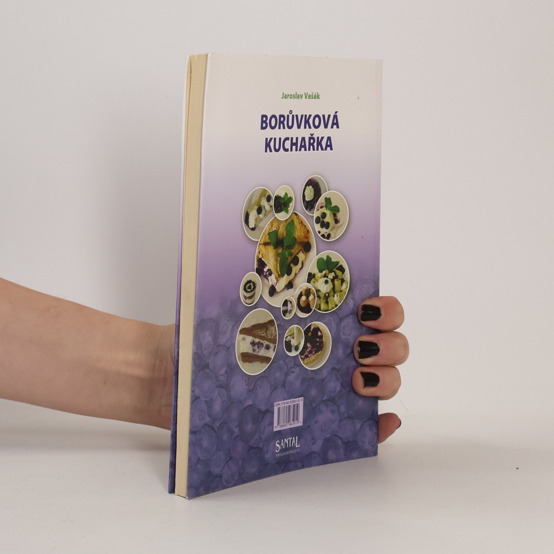 Jaroslav Vašák Borůvková kuchařka