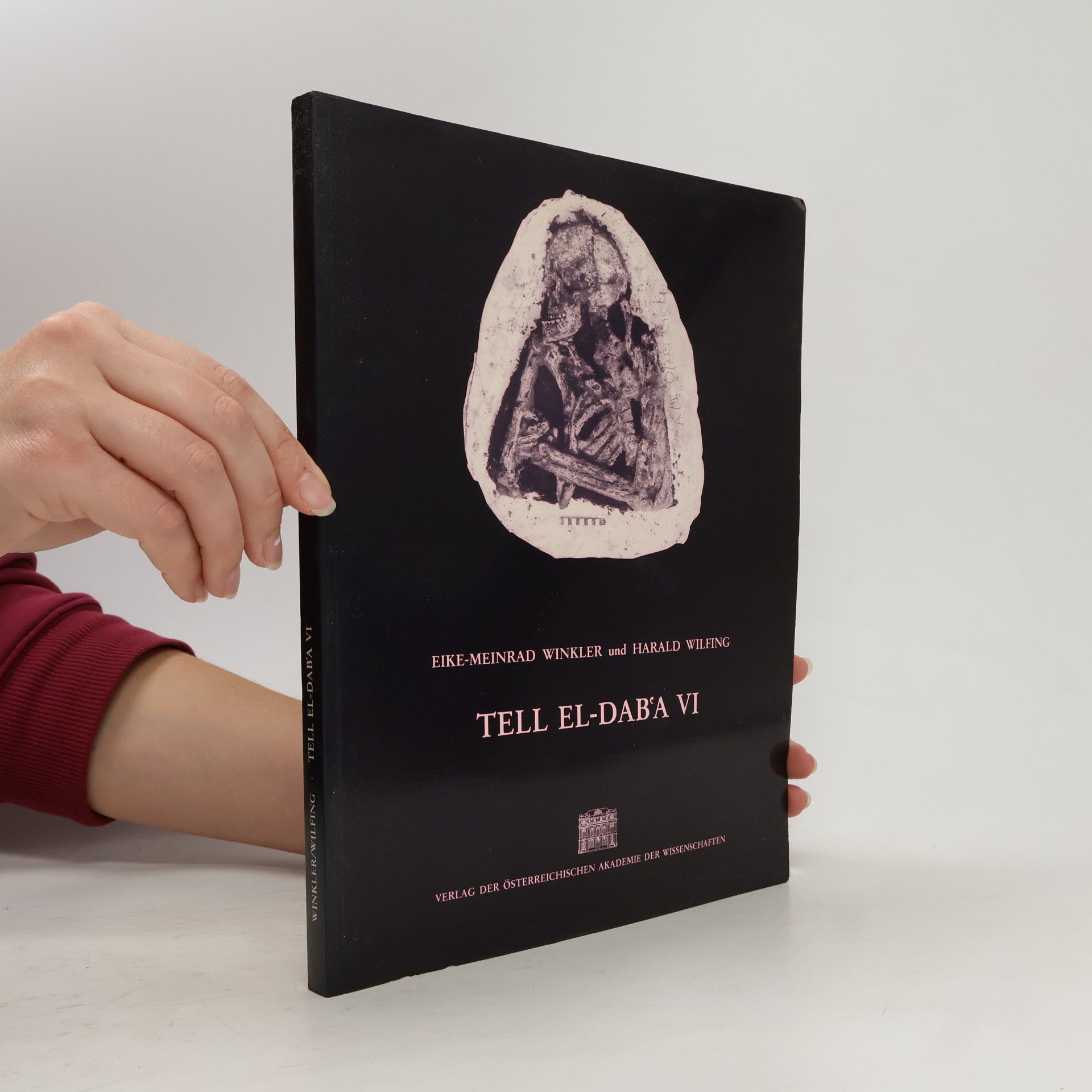 Eike Meinrad Winkler Tell el-Dabʿa - 6: Tell el-Dabʿa VI
