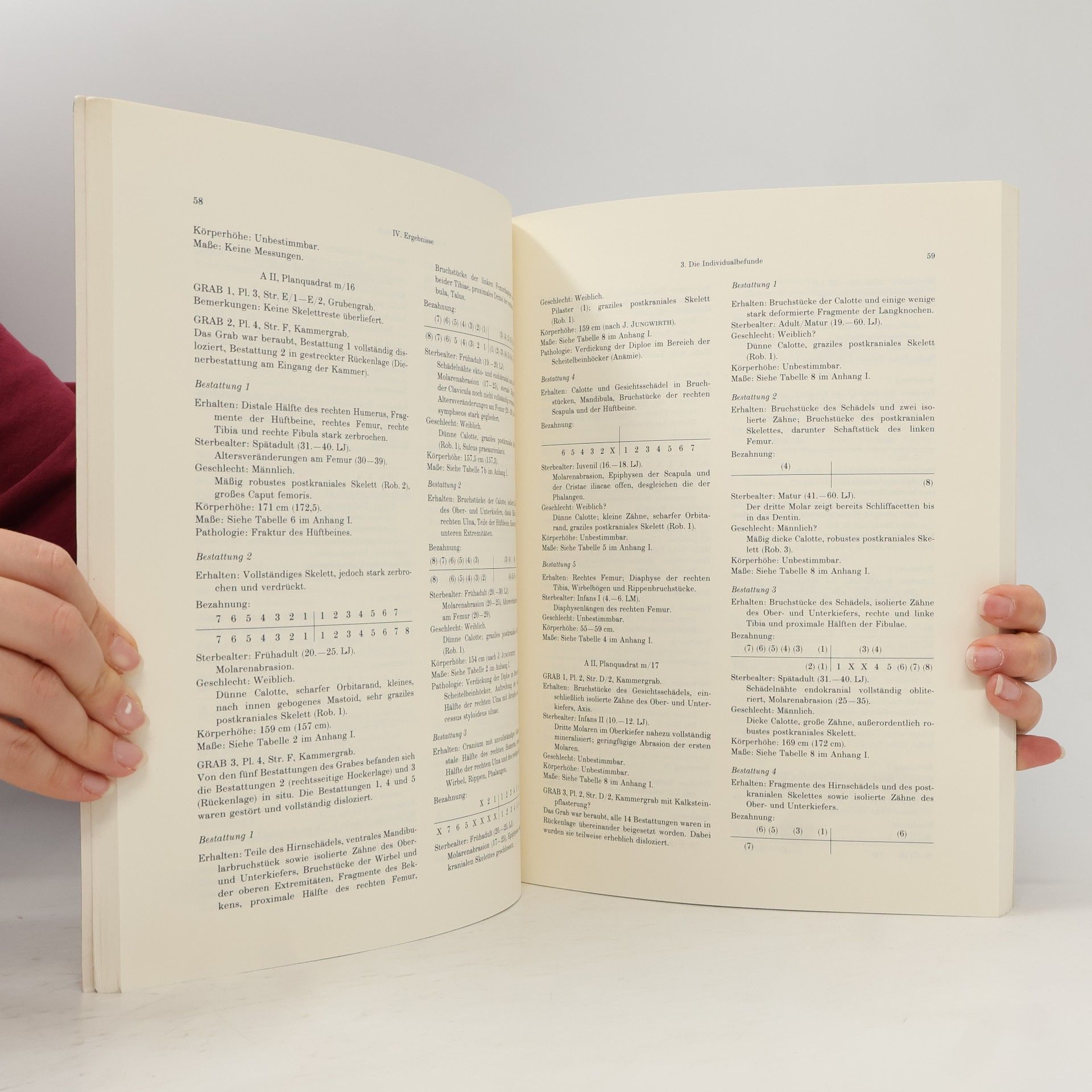 Eike Meinrad Winkler Tell el-Dabʿa - 6: Tell el-Dabʿa VI
