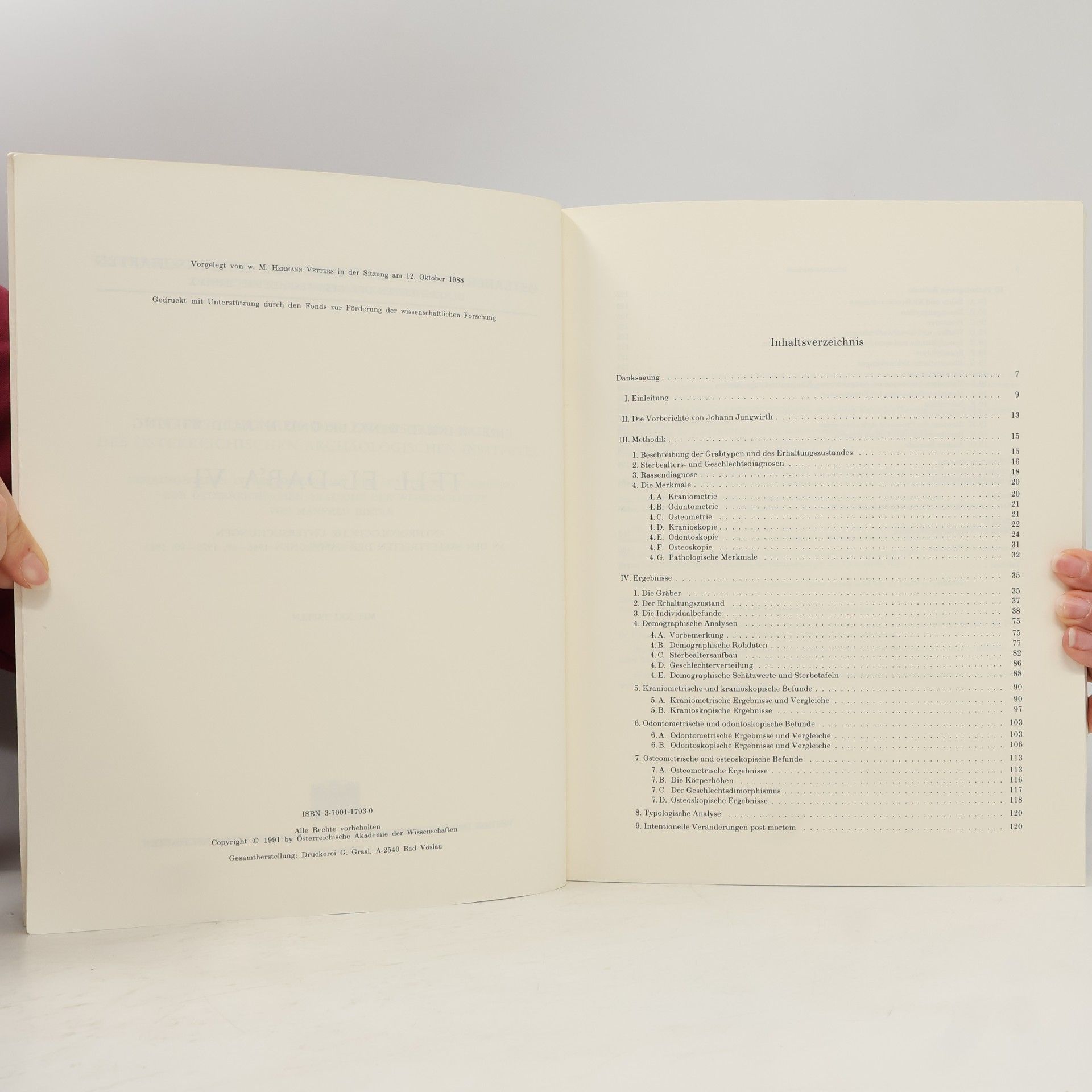 Eike Meinrad Winkler Tell el-Dabʿa - 6: Tell el-Dabʿa VI