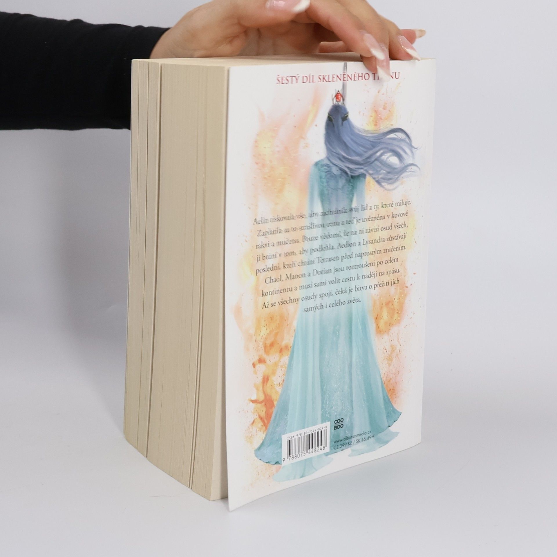 Sarah J. Maas Království popela