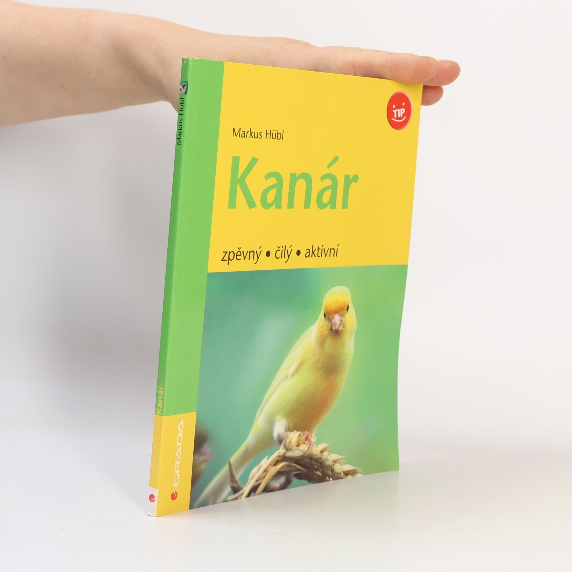 Kanár
