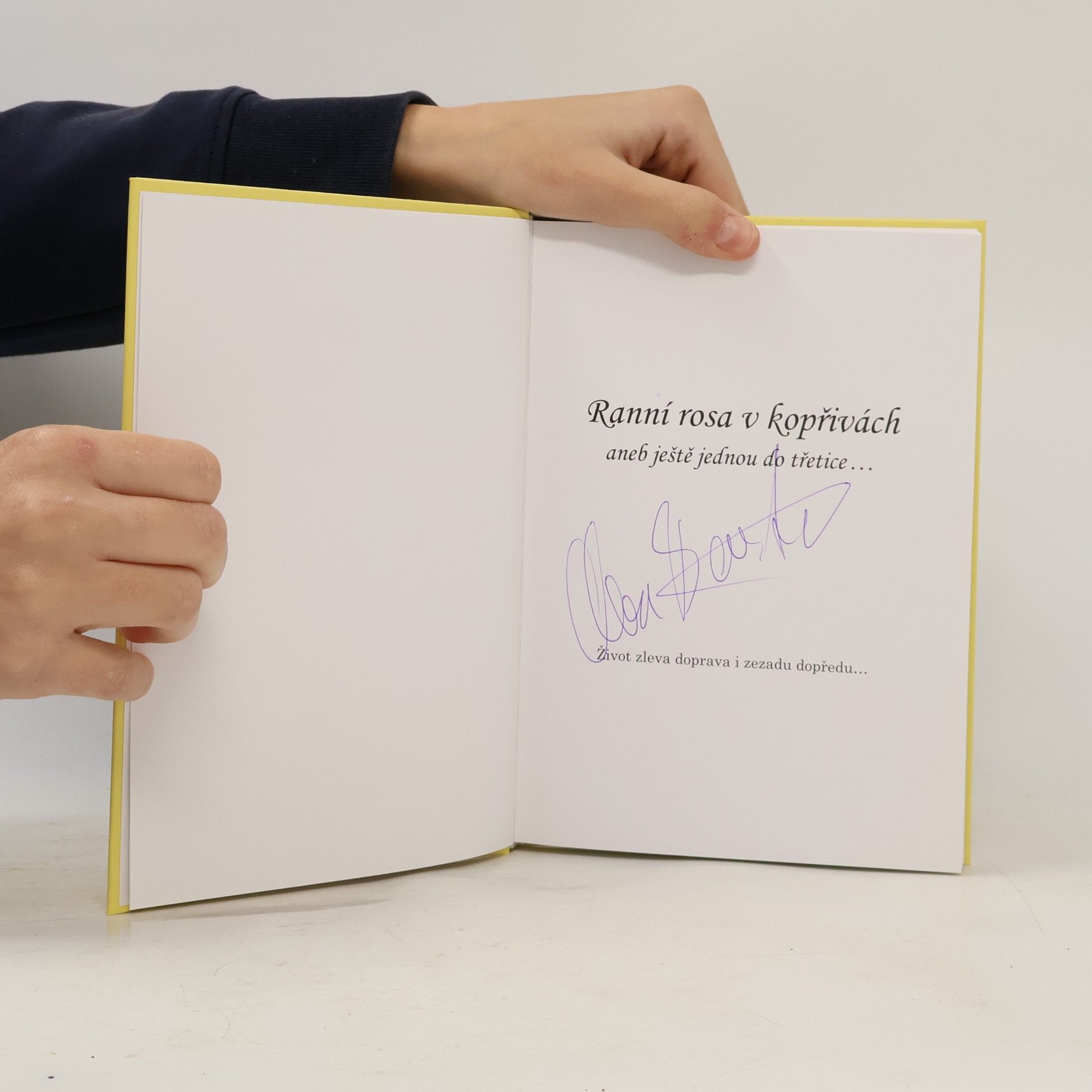 Alena Bartoňová Ranní rosa v kopřivách 3