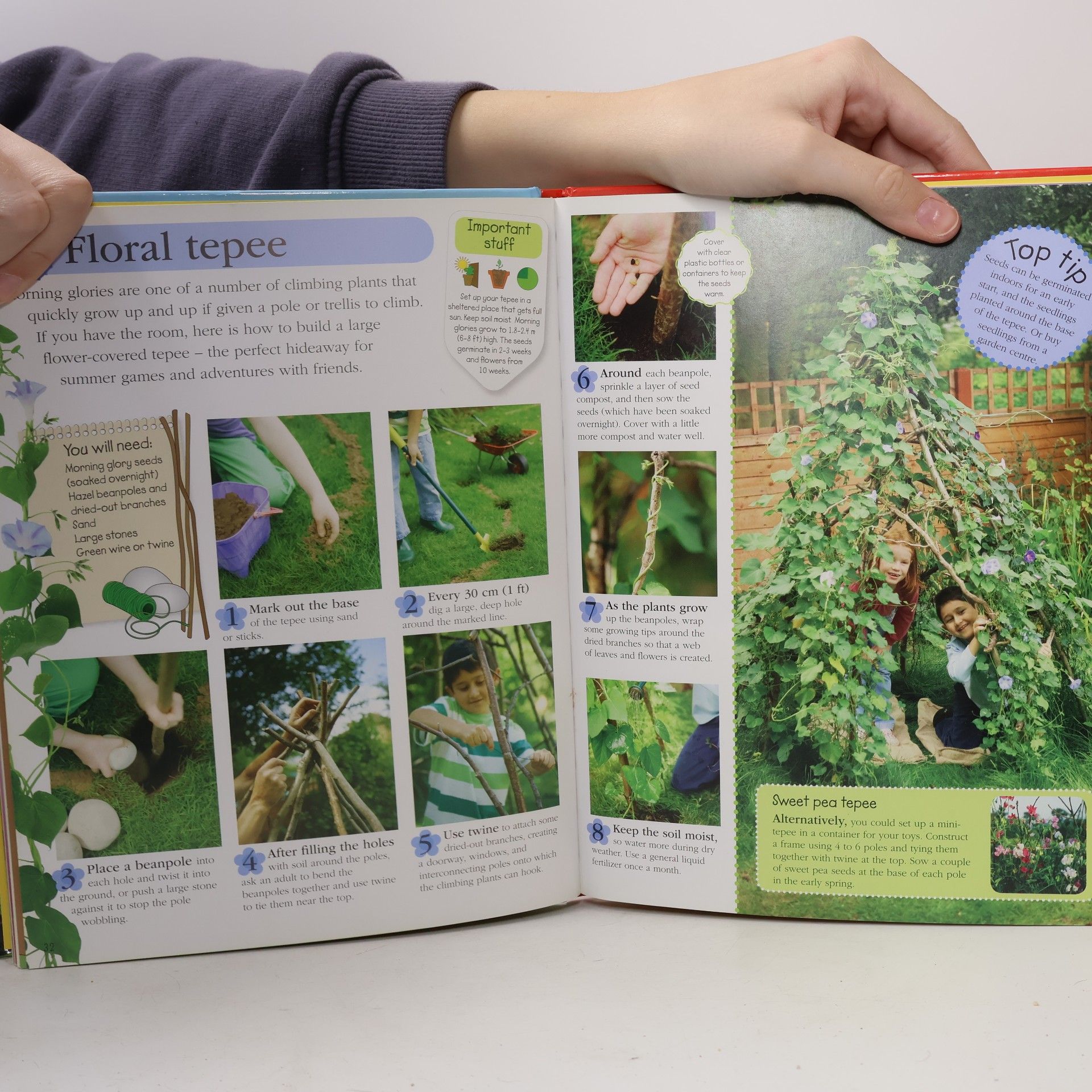Royal Horticultural Society RHS Ready, Steady, Grow!
