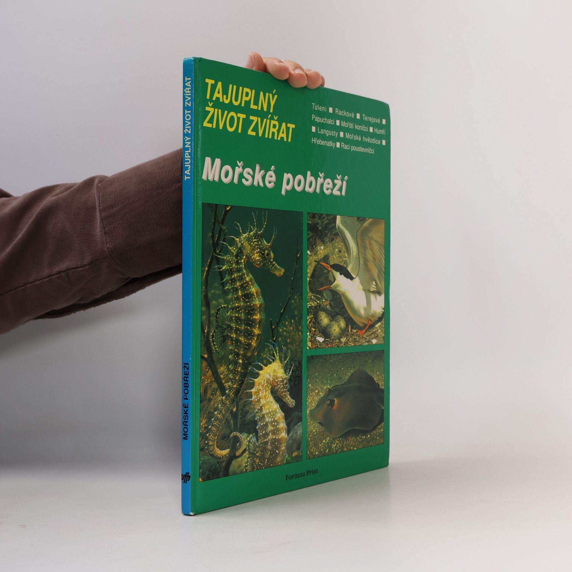 Tajuplný život zvířat: Mořské pobřeží