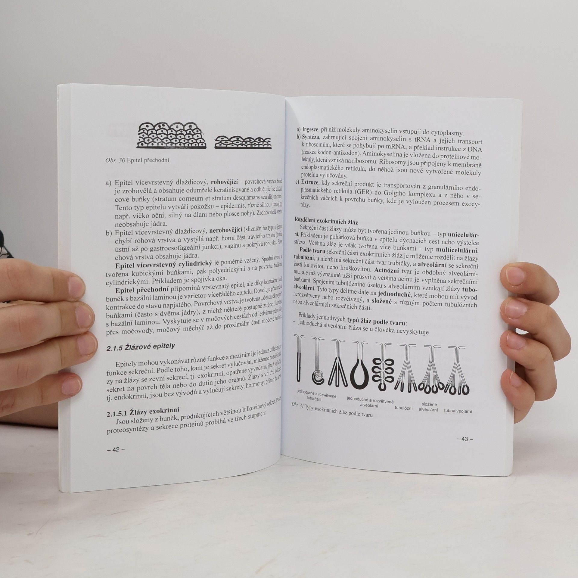 Jaroslav Slípka Základy histologie