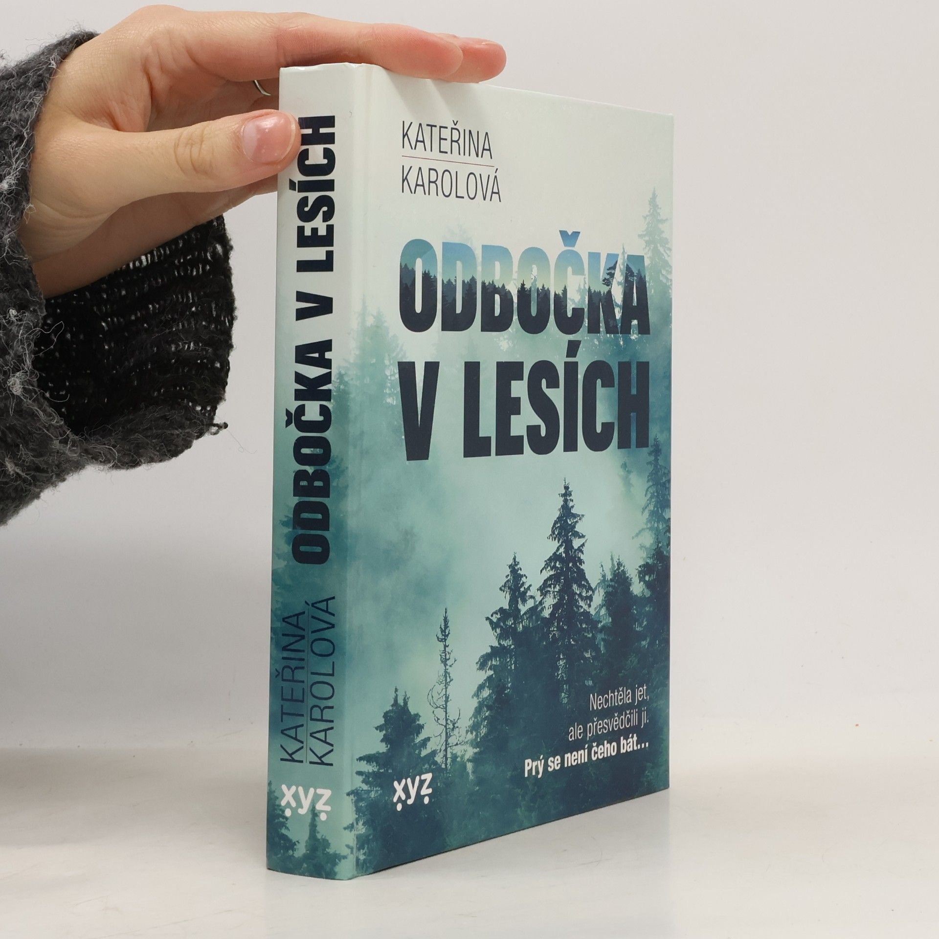 Odbočka v lesích