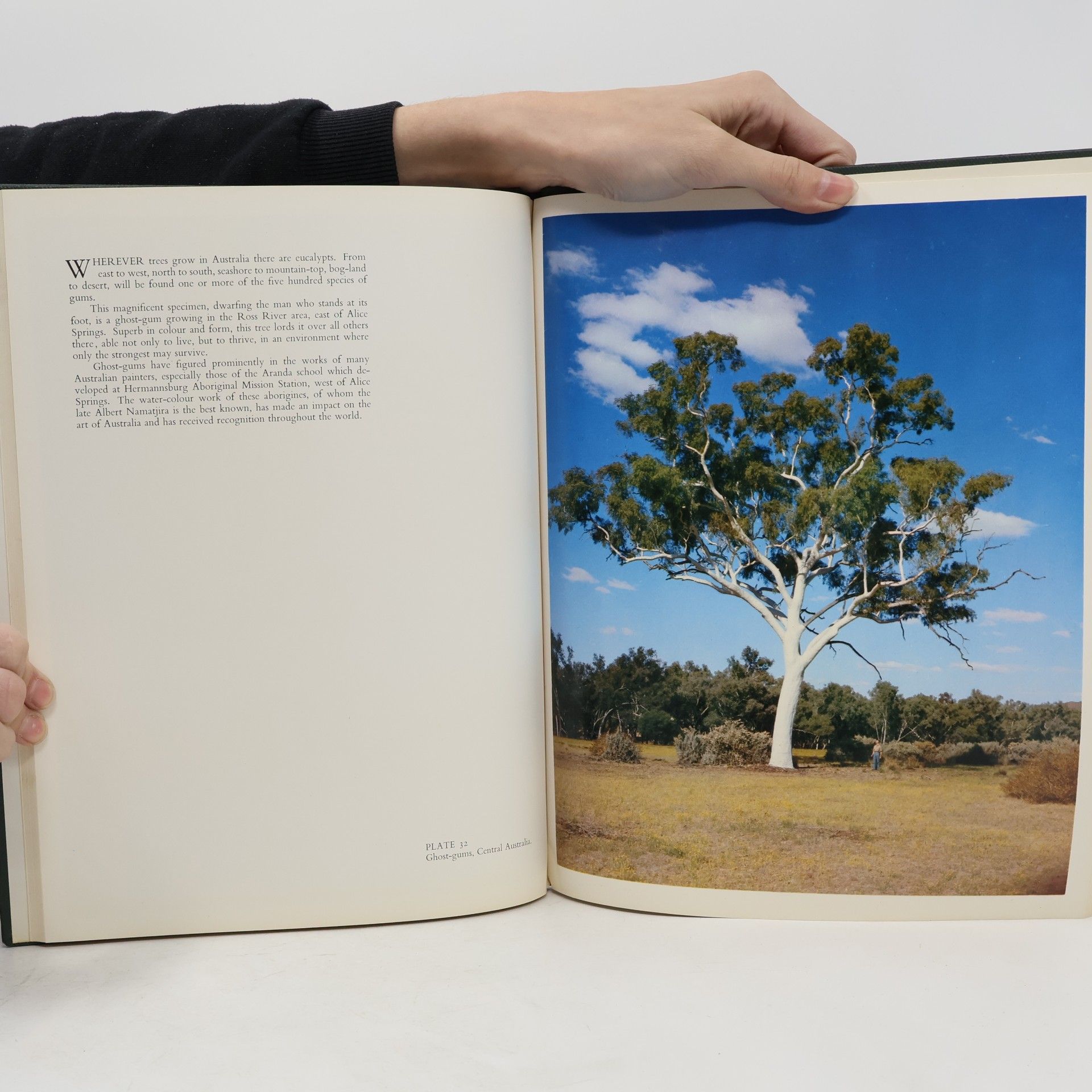 Robin Smith Australia in colour