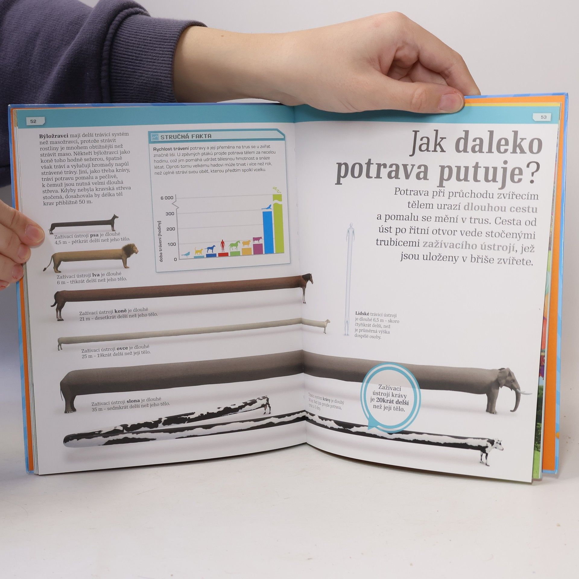 Kolektív autorov Neuvěřitelná fakta o hovínku