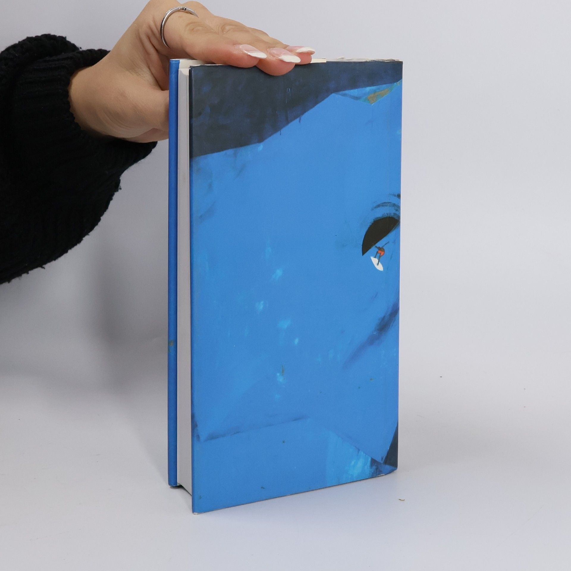 Emily Dickinson Neumím tančit po špičkách