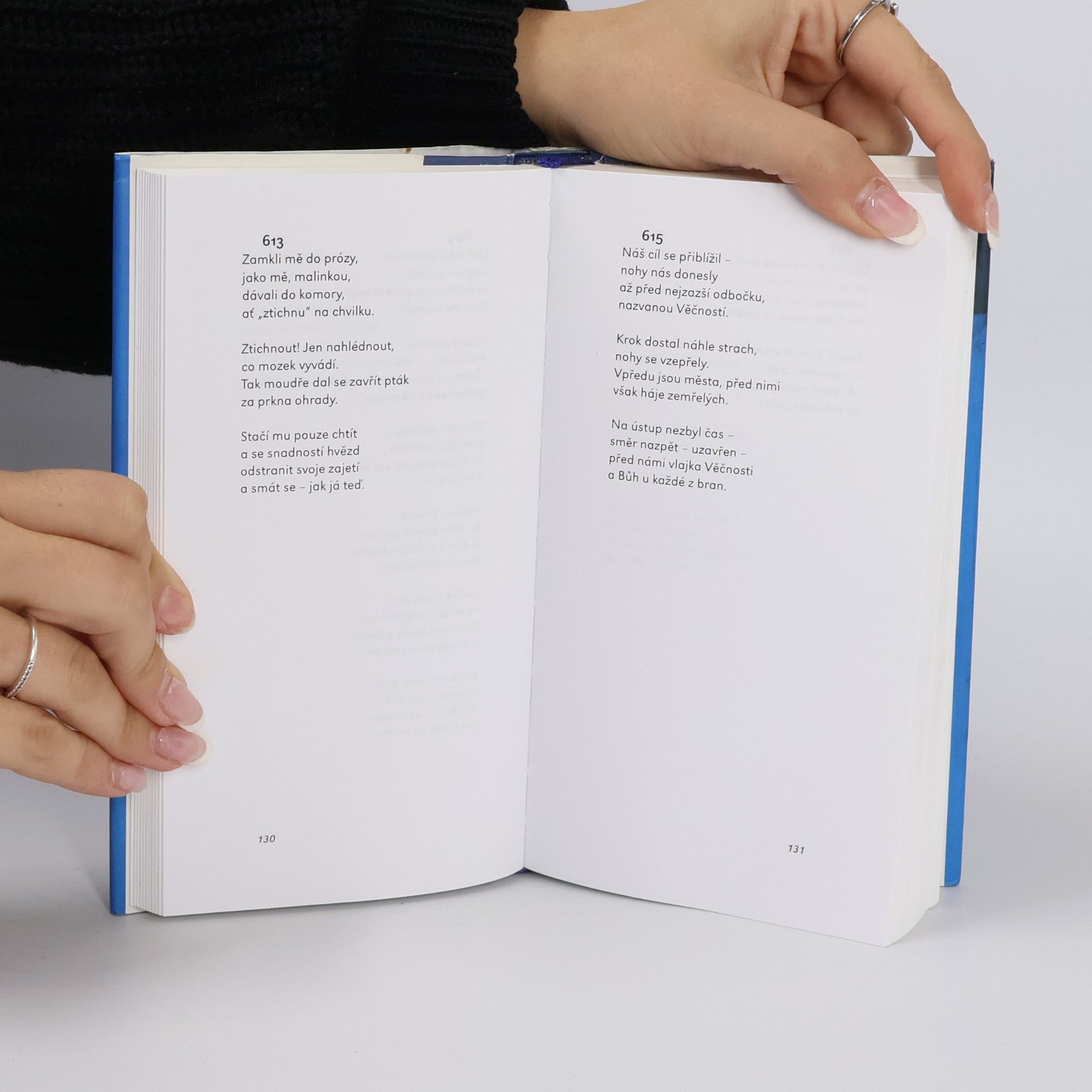 Emily Dickinson Neumím tančit po špičkách