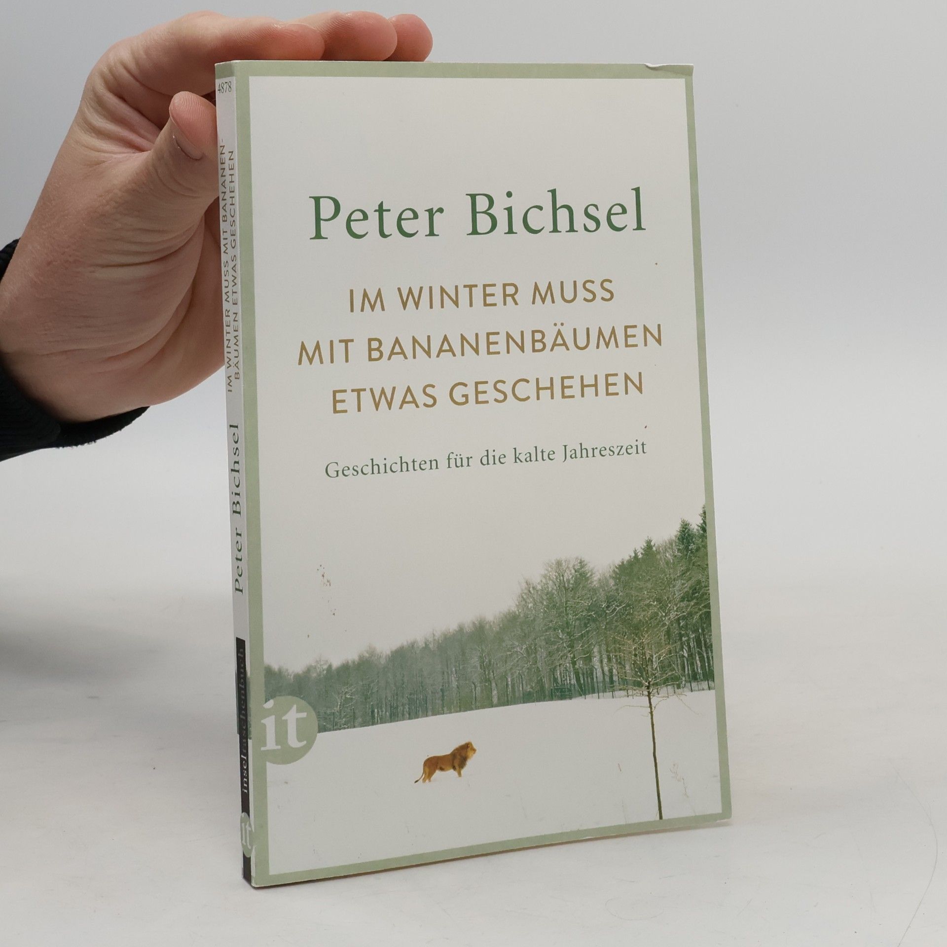Im Winter muss mit Bananenbäumen etwas geschehen