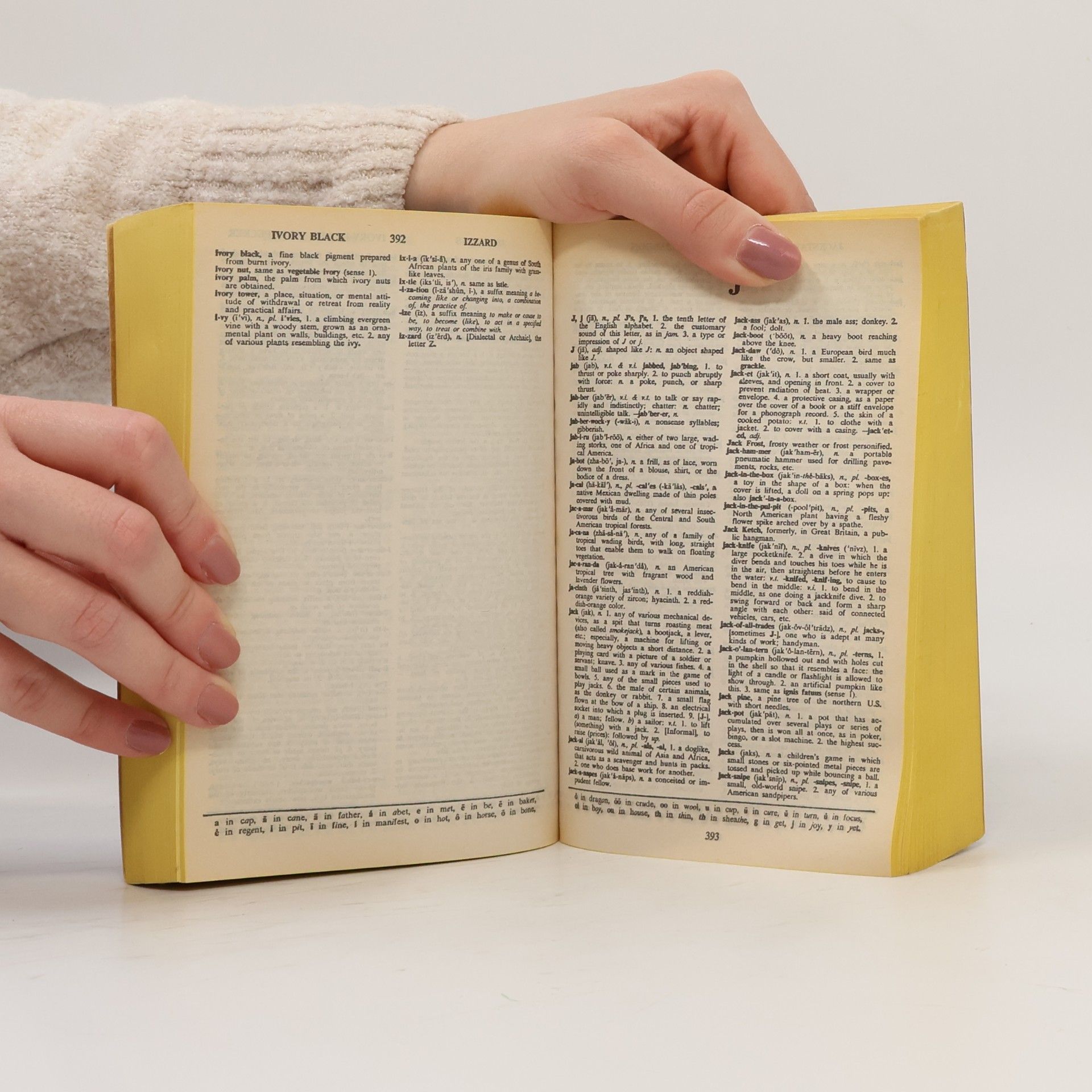 Jonathan Goldman Pocket Webster School and Office Dictionary