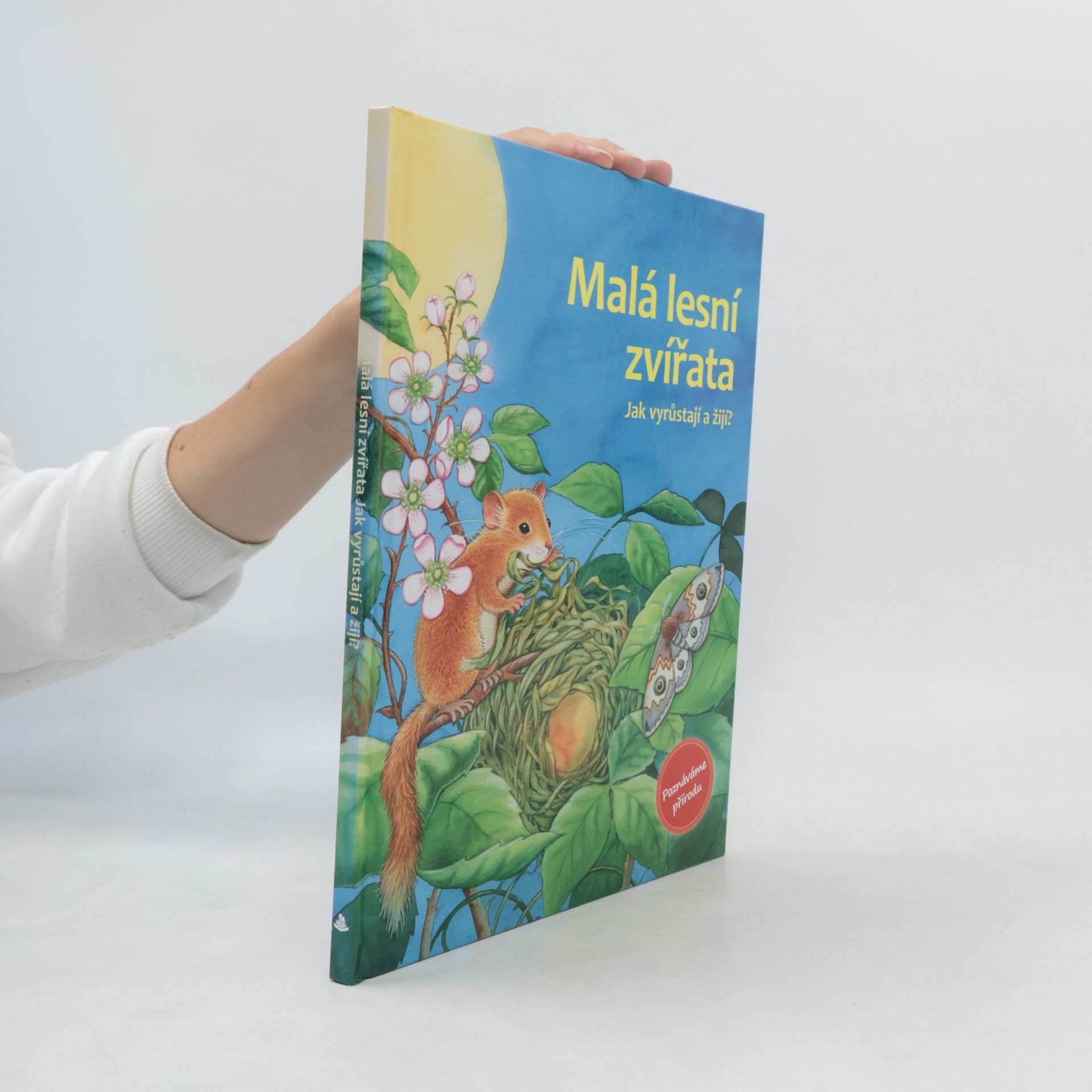 Malá lesní zvířata : jak vyrůstají a žijí?