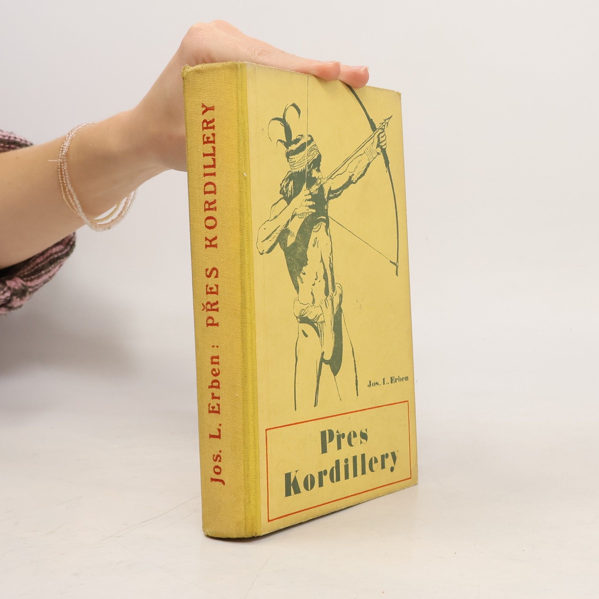 Přes Kordillery. Toulky tropickou Amerikou I