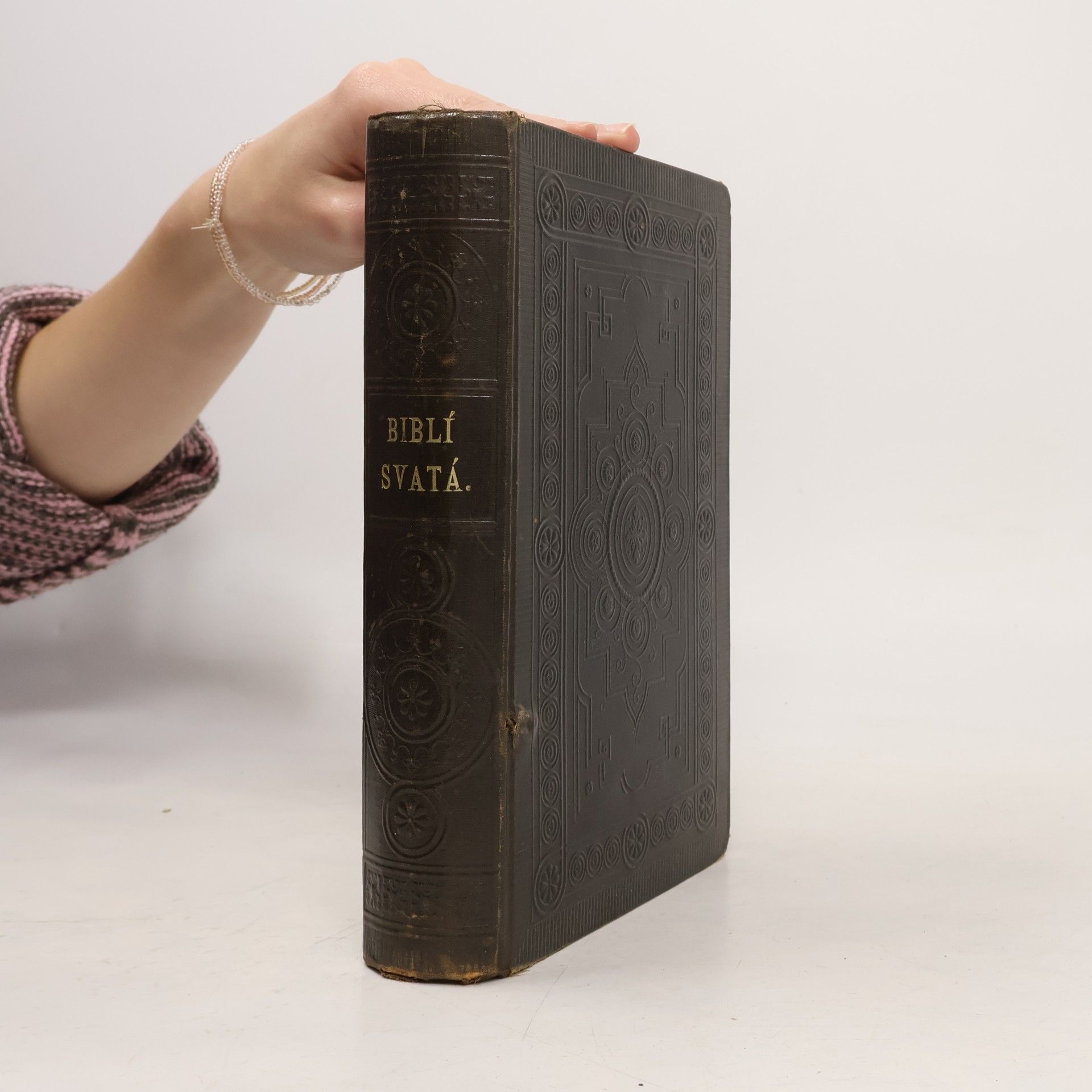 Autorenkollektiv Biblí svatá
