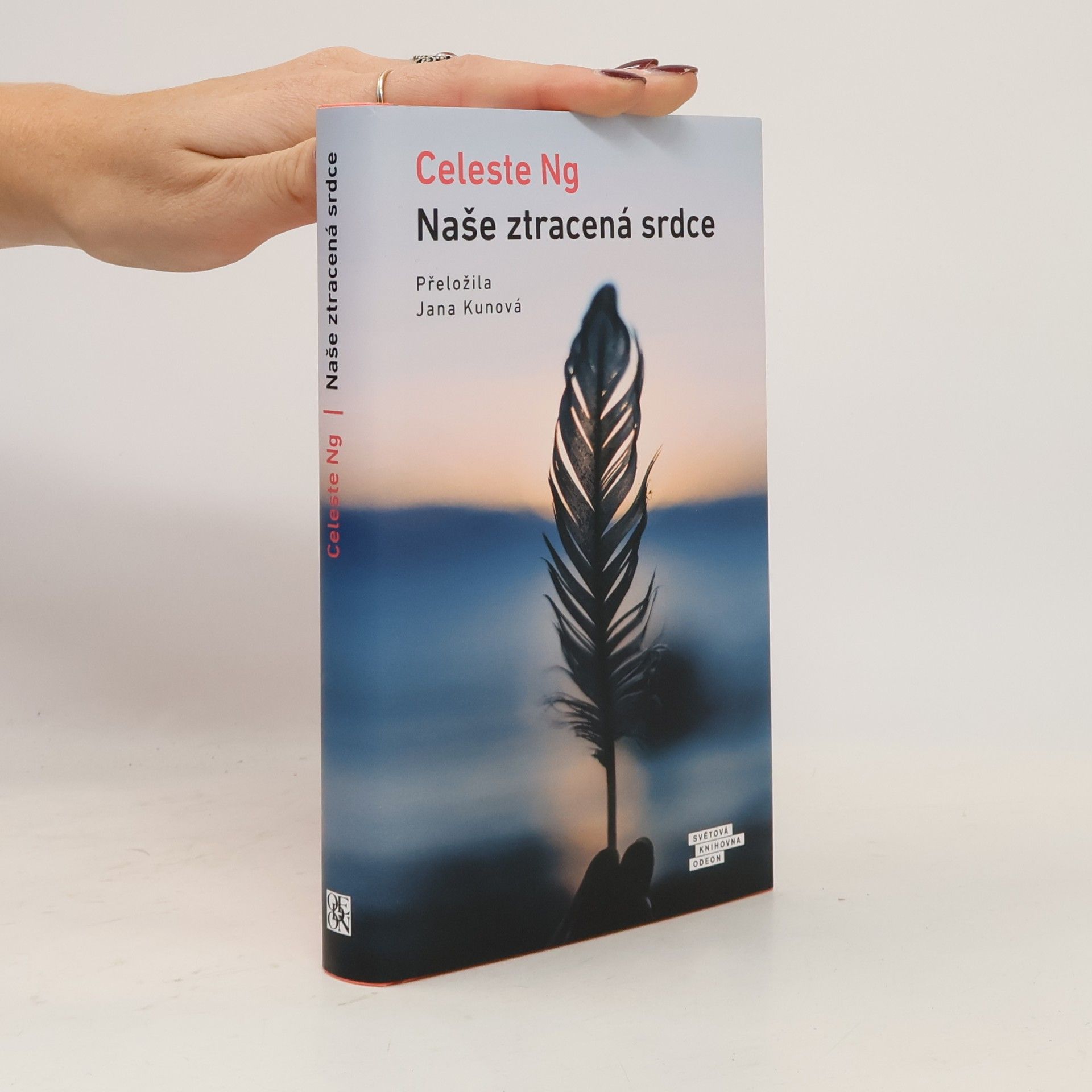 Celeste Ng Naše ztracená srdce