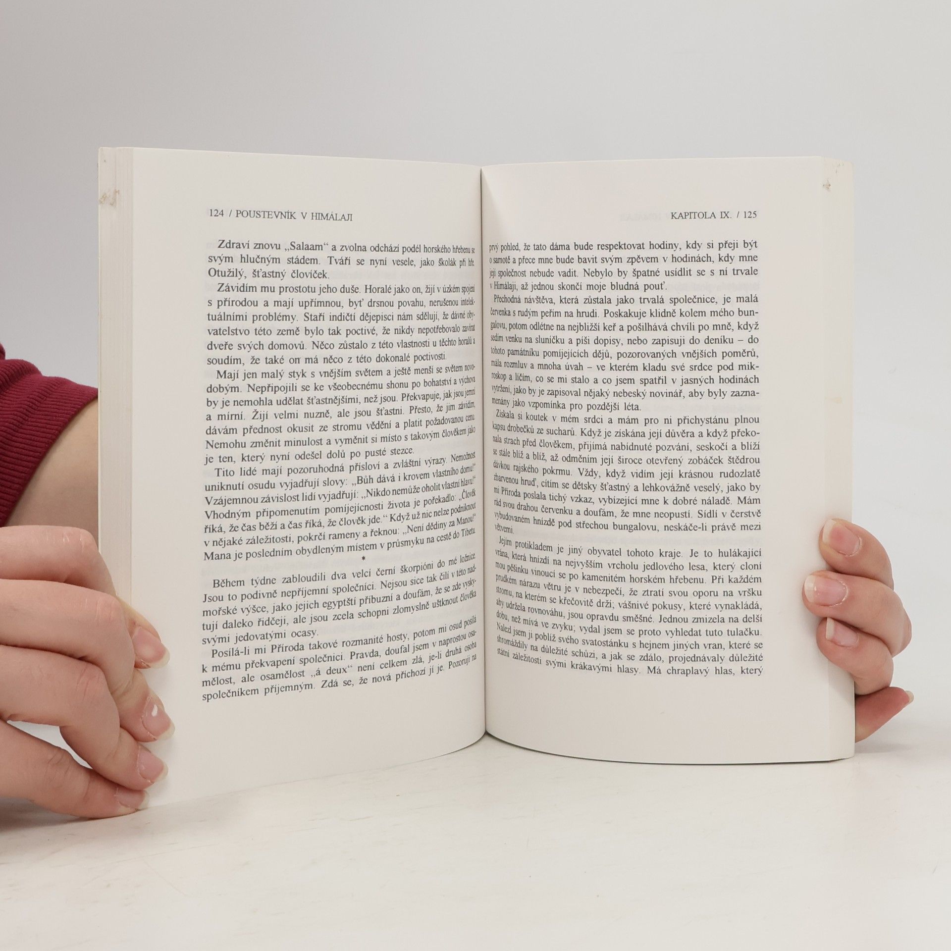 Paul Brunton Poustevník v Himálaji