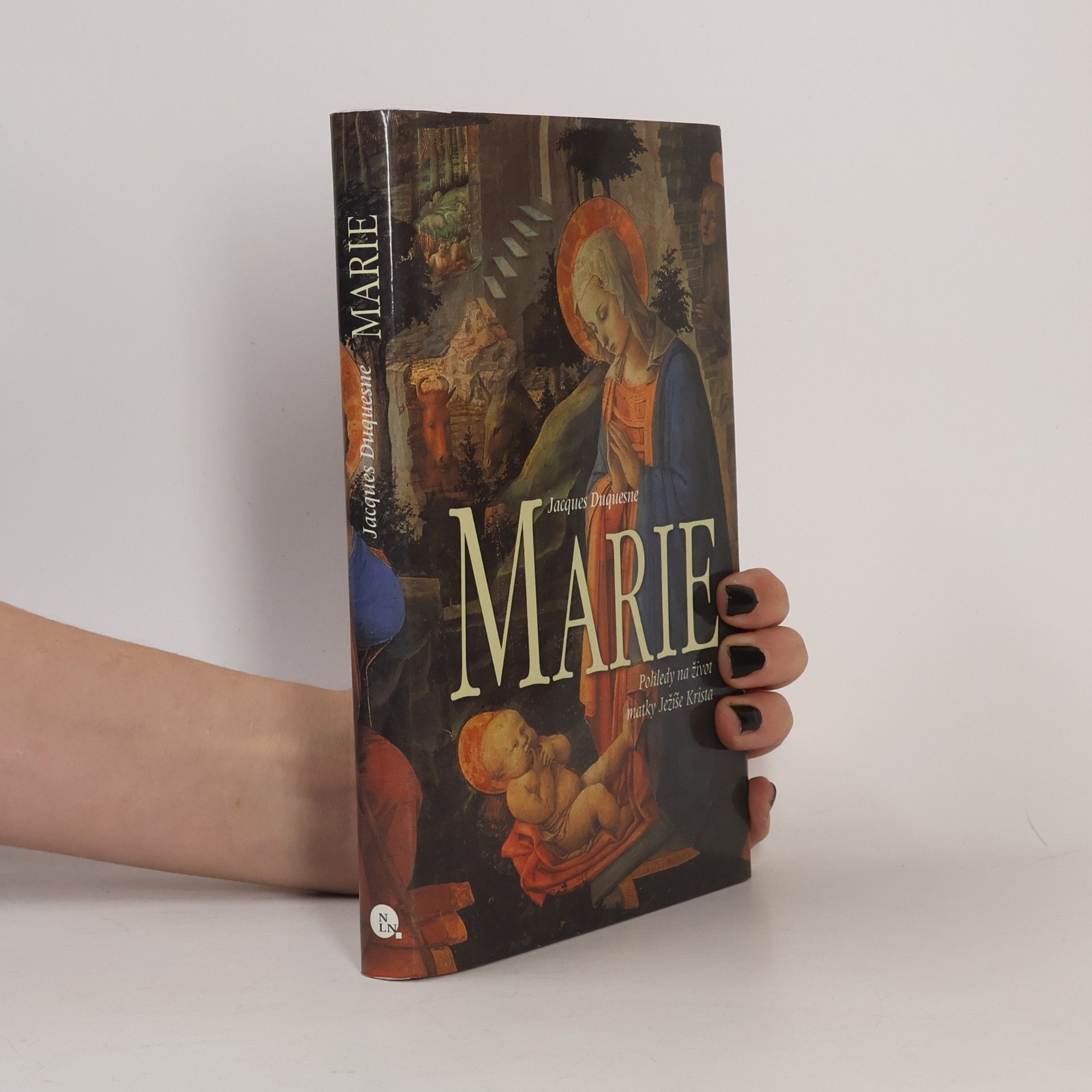 Marie - Pohledy na život matky Ježíše Krista