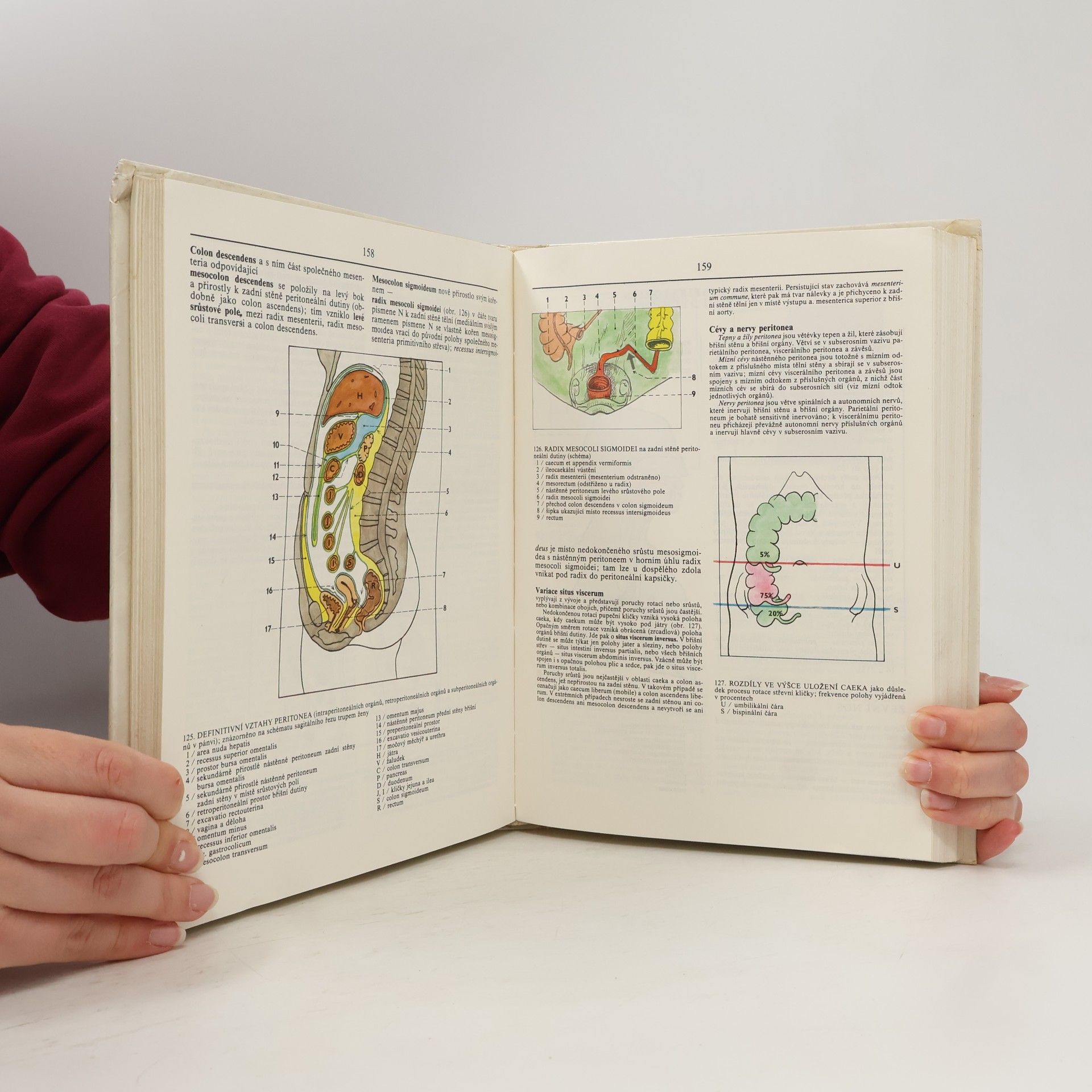 Radomír Čihák Anatomie 2