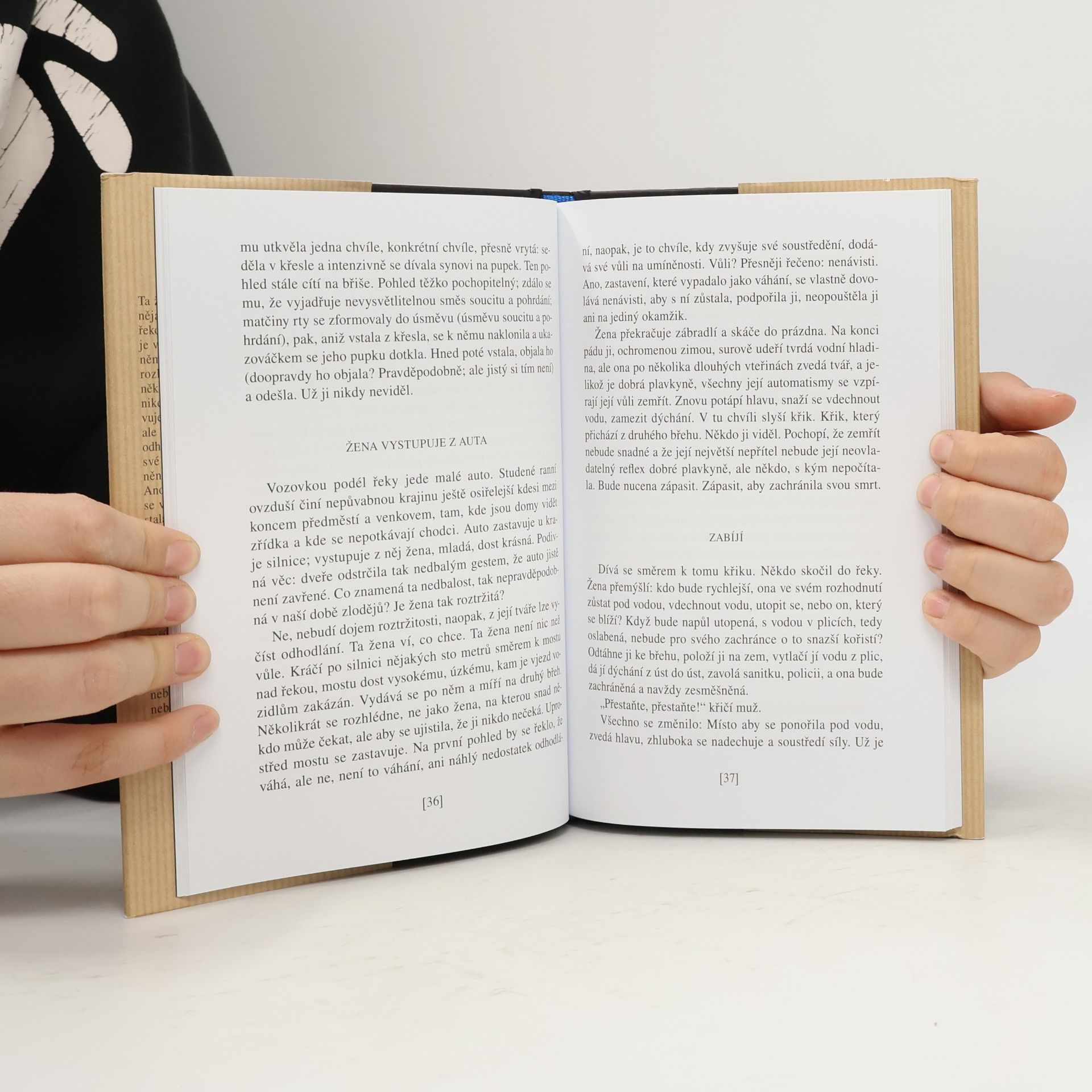 Milan Kundera Slavnost bezvýznamnosti