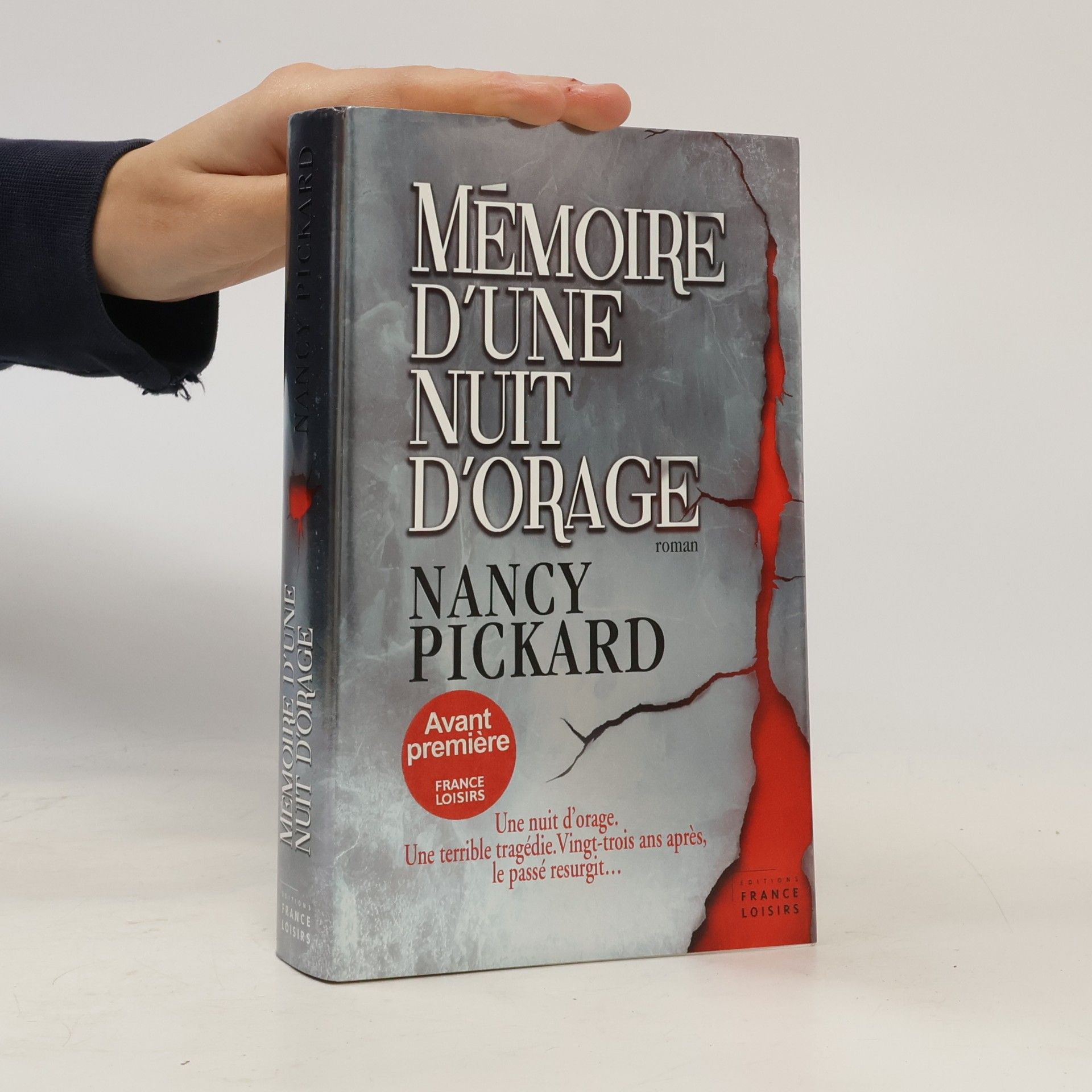 Nancy Pickard Mémoire d'une nuit d'orage