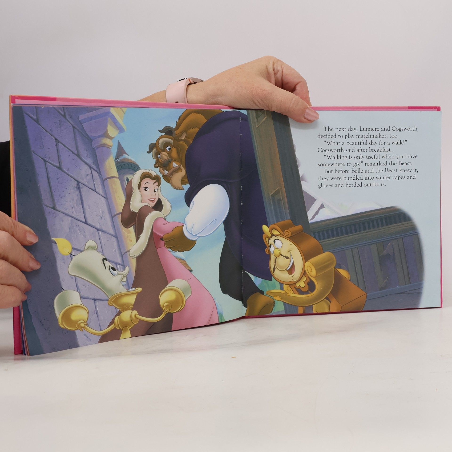 Carol Heyer Beauty and the Beast - Mini Storybook