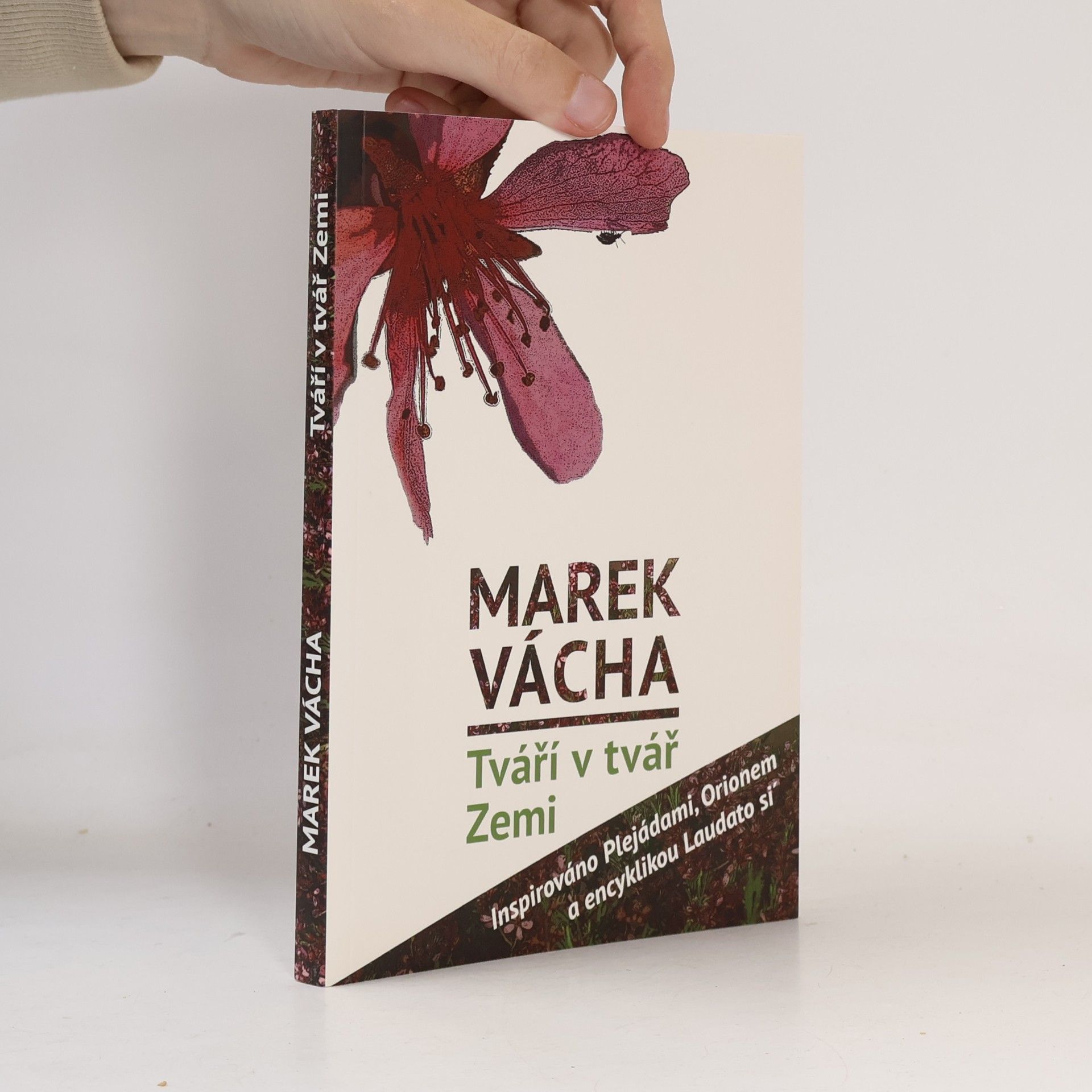 Marek Vácha Tváří v tvář Zemi
