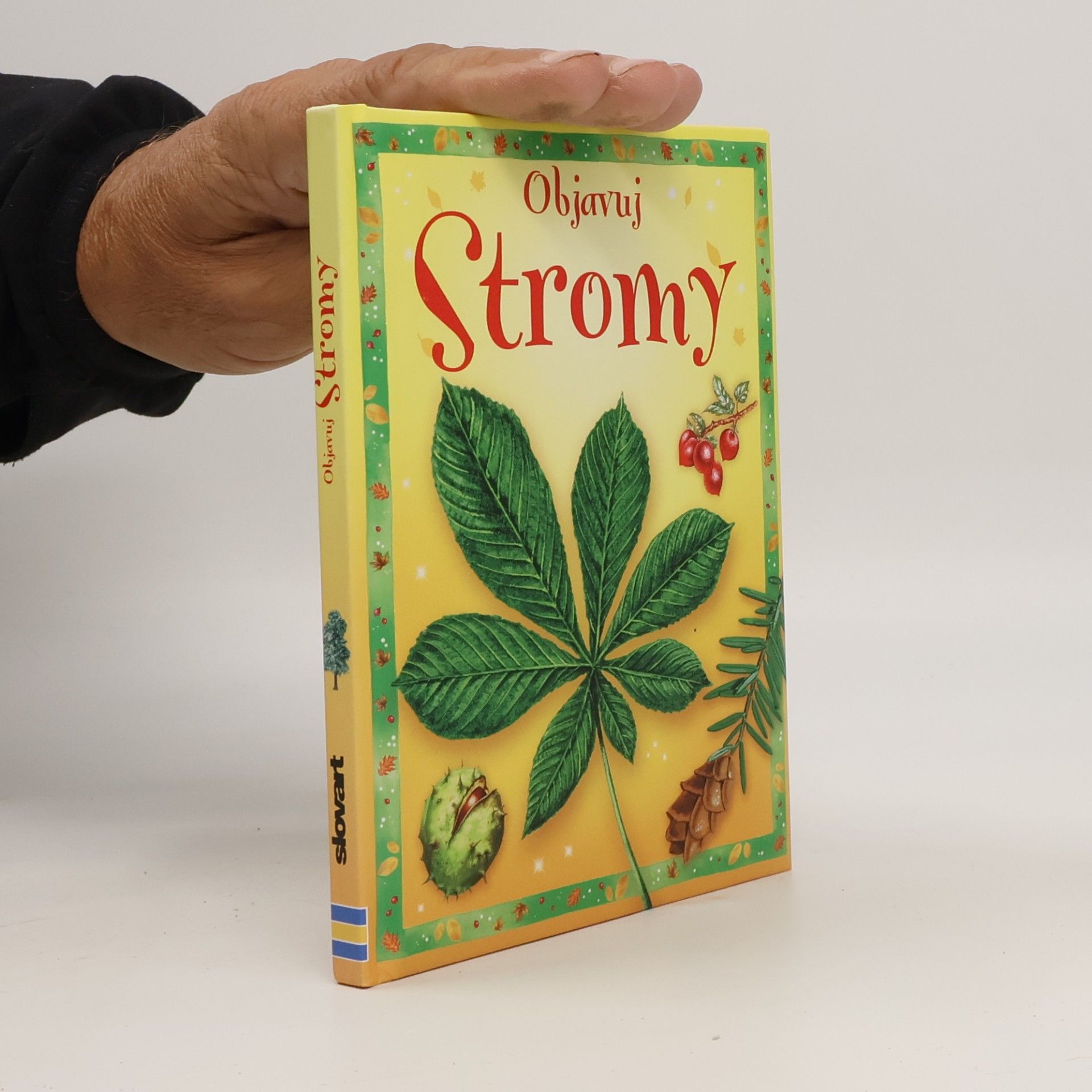 Stromy