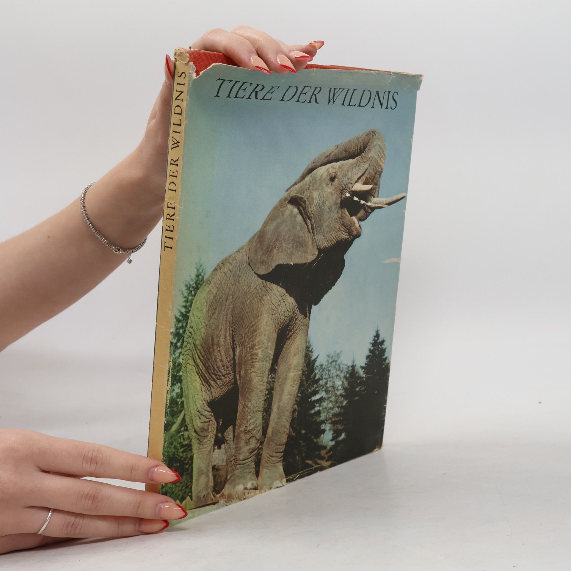 Autorenkollektiv Tiere der Wildnis
