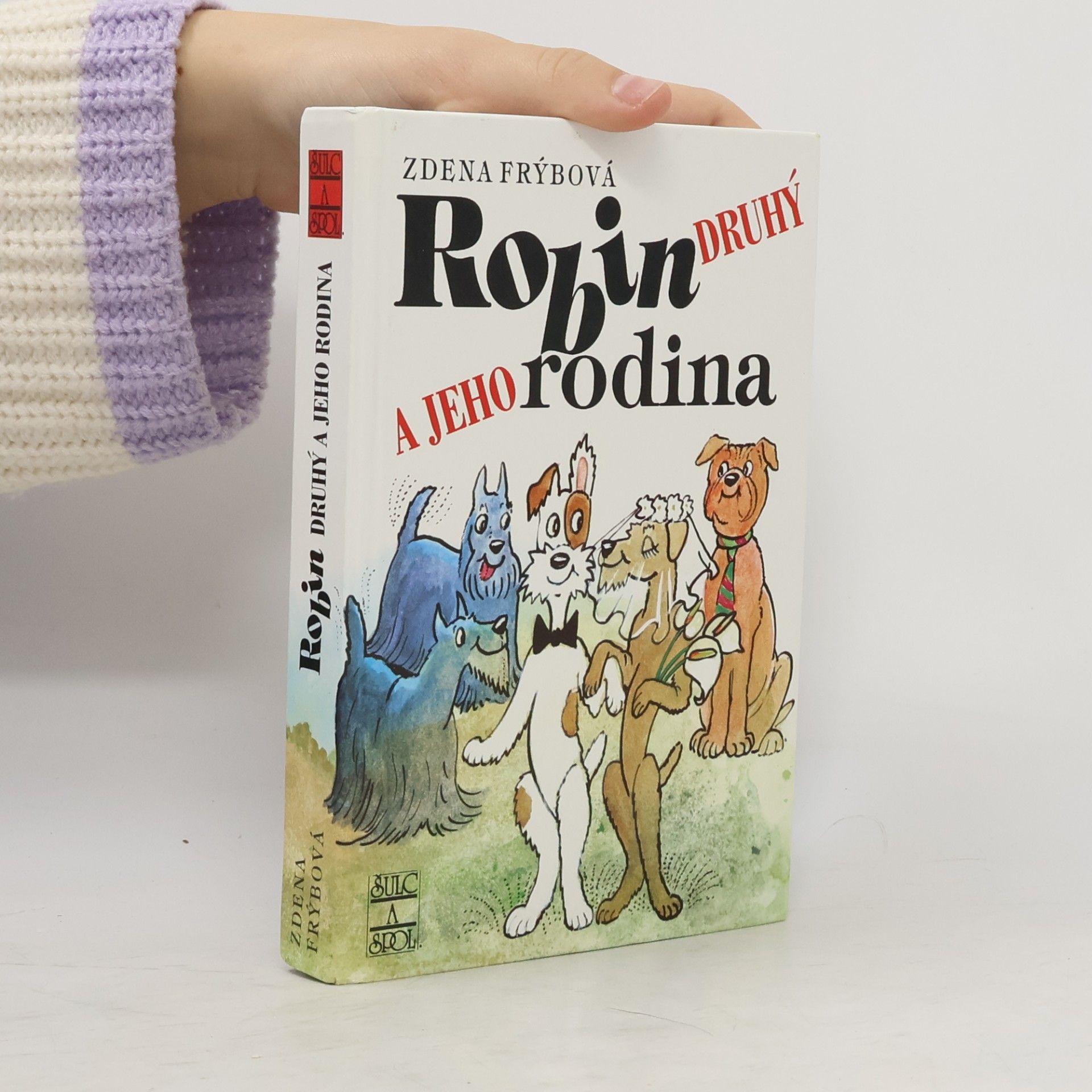 Robin Druhý a jeho rodina