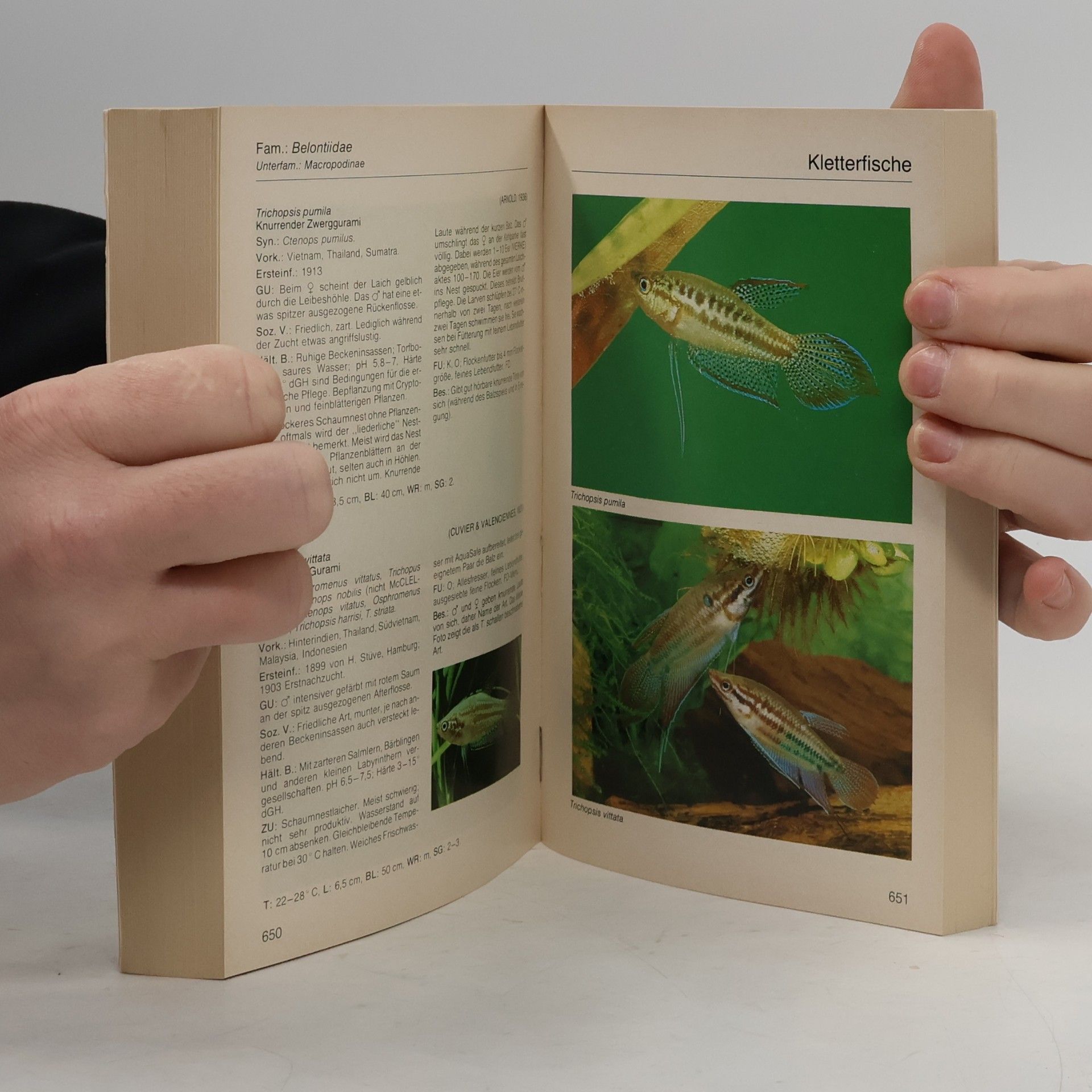 Rüdiger Riehl Aquarien-Atlas