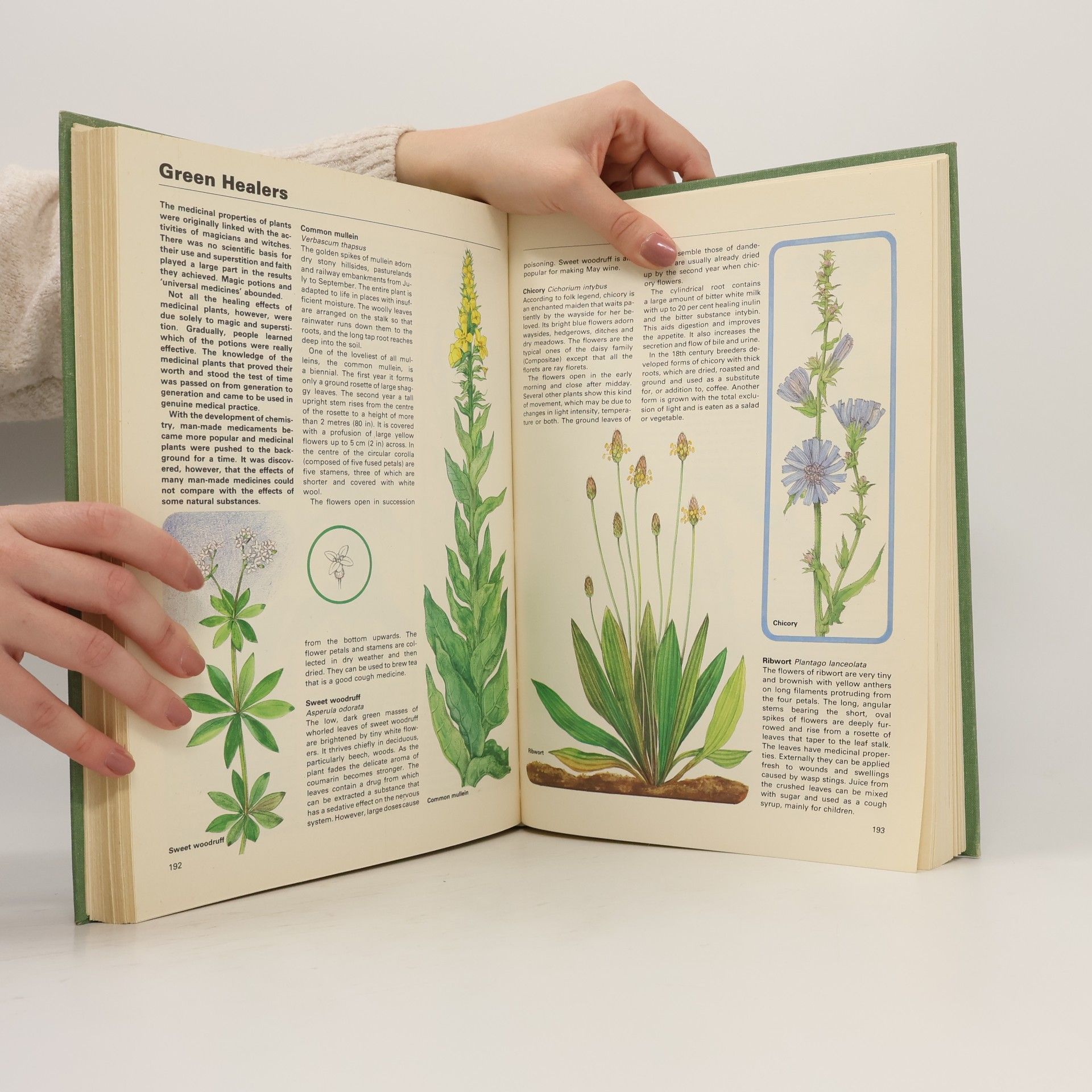 Kolektiv autorů Octopus Big Book of Nature