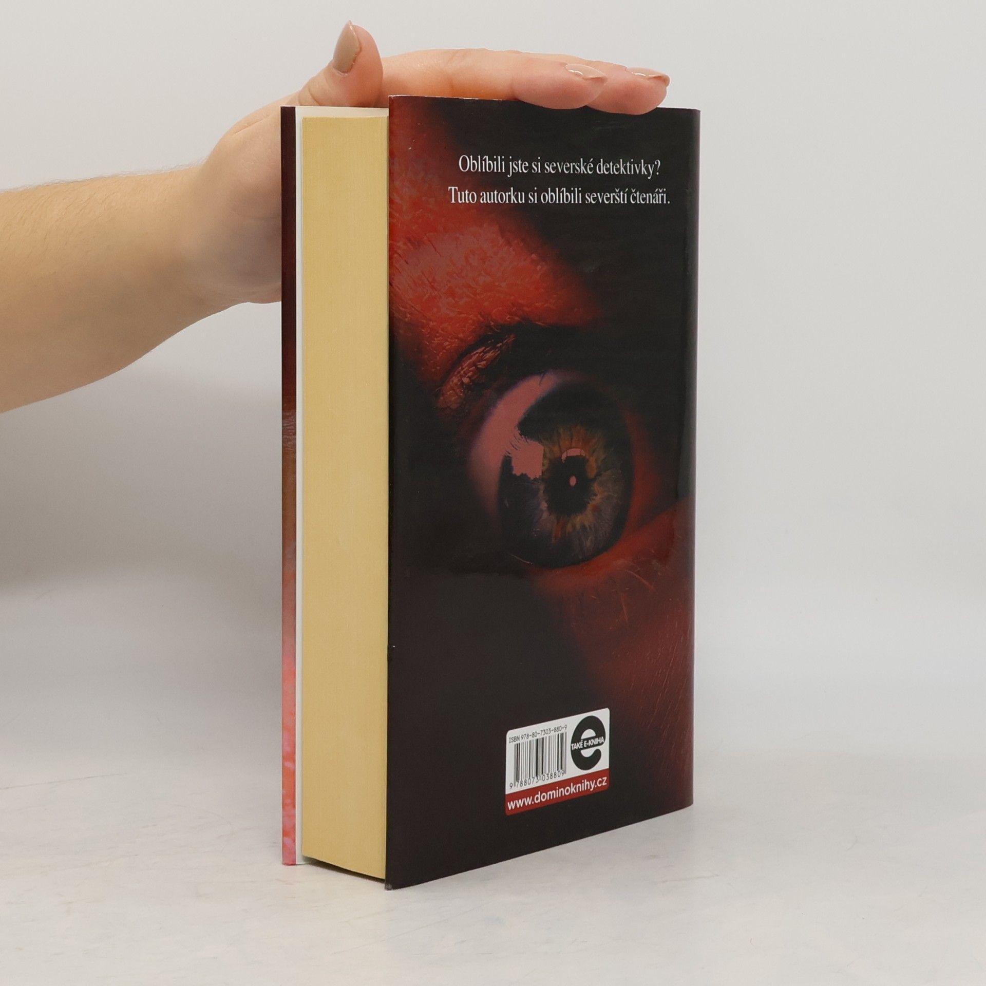 Karin Slaughter Nic nebude jako dřív