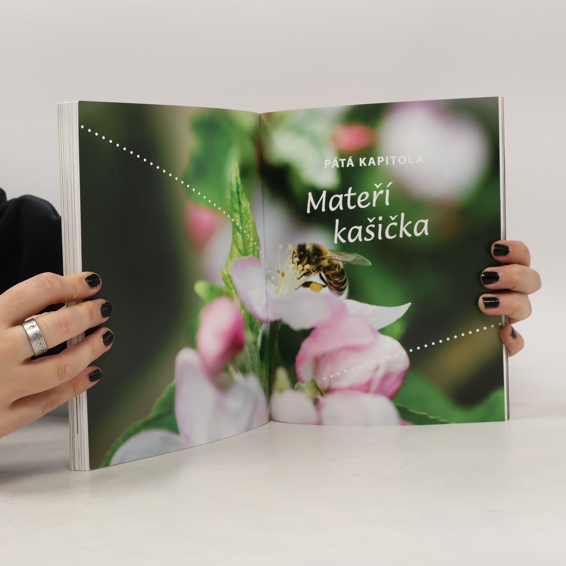 Štefan Demeter Léčení včelími produkty
