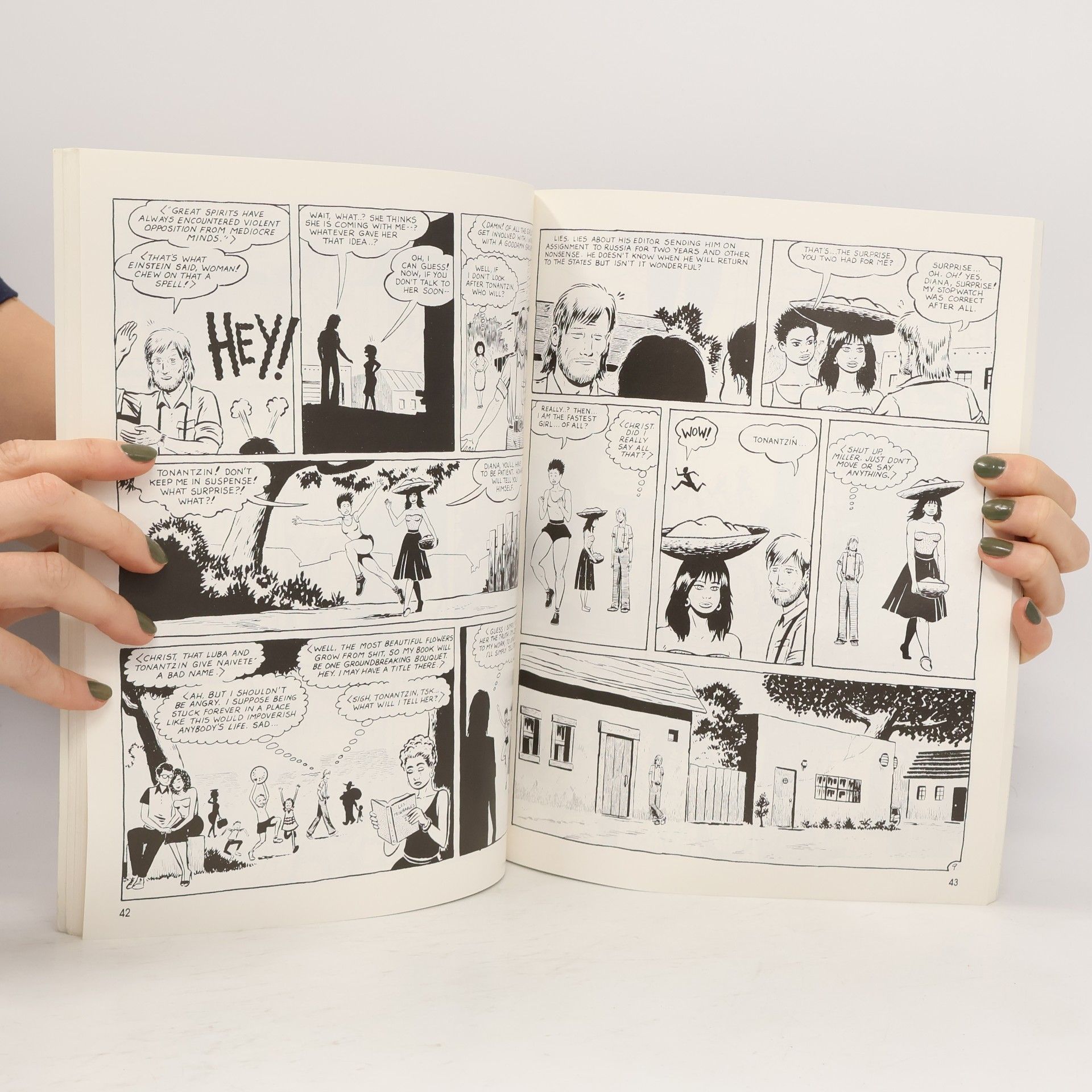 Jaime Hernandez Love and Rockets - 5: House of Raging Women