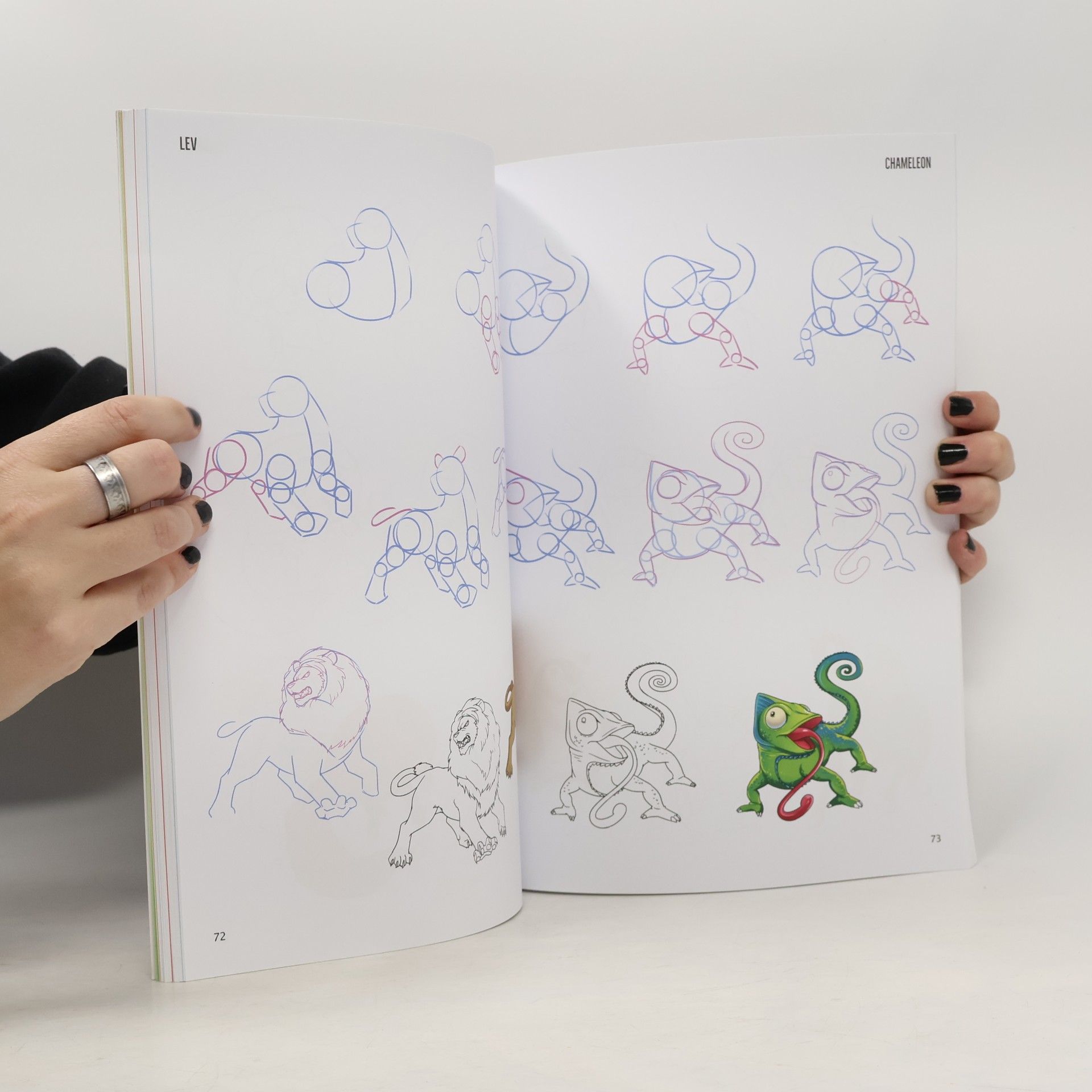 Yishan Li Jak kreslit v manga stylu: Kluci, holky, zvířata a mýtické bytosti